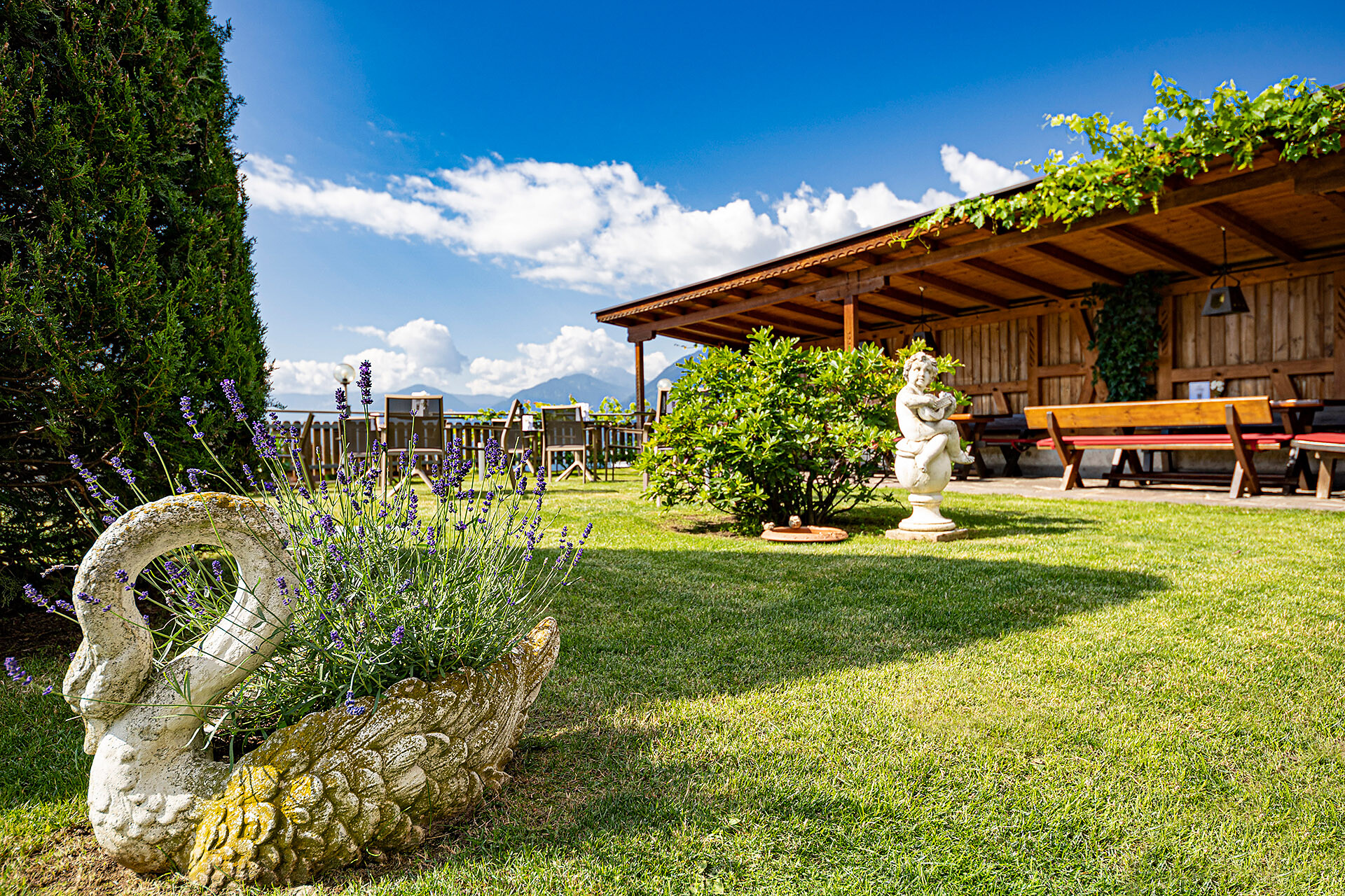 Giardino