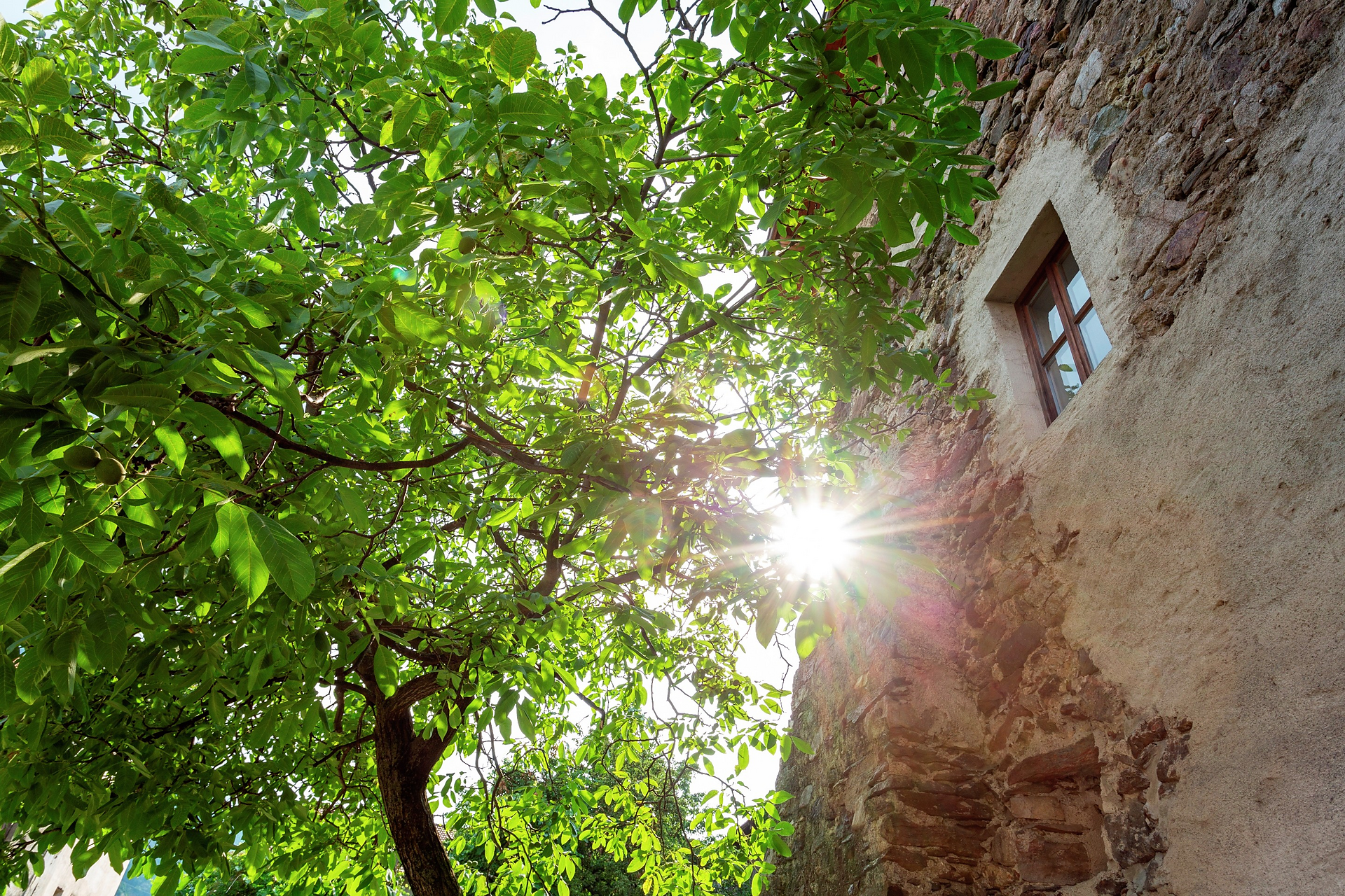 Historic Homes Zafig