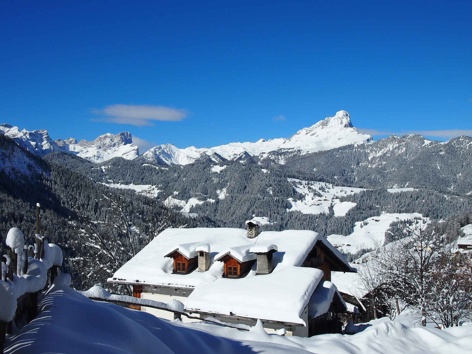 Winter view