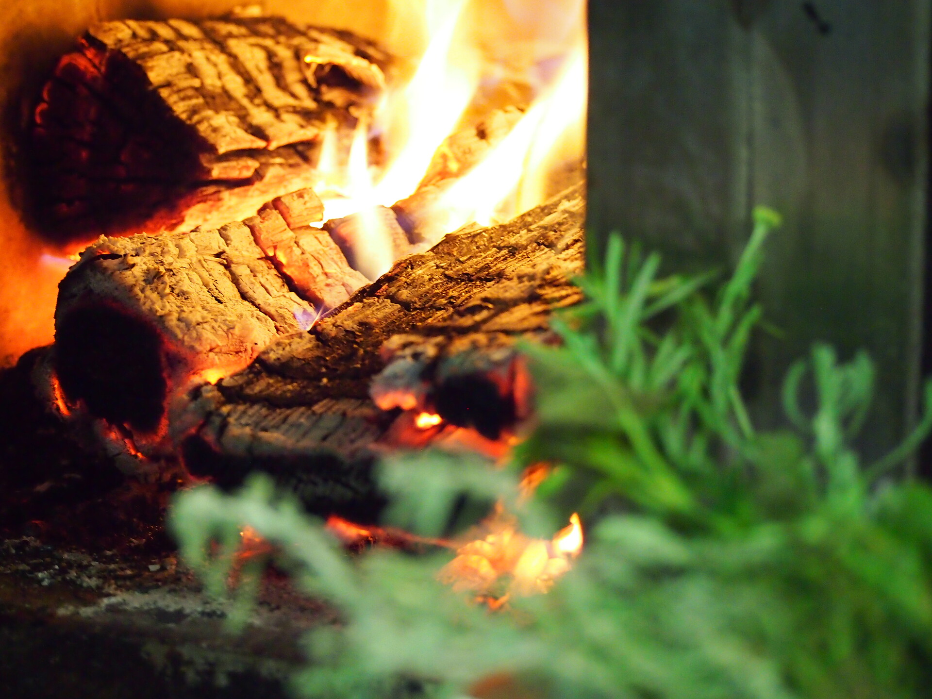 wood oven in our kitchen