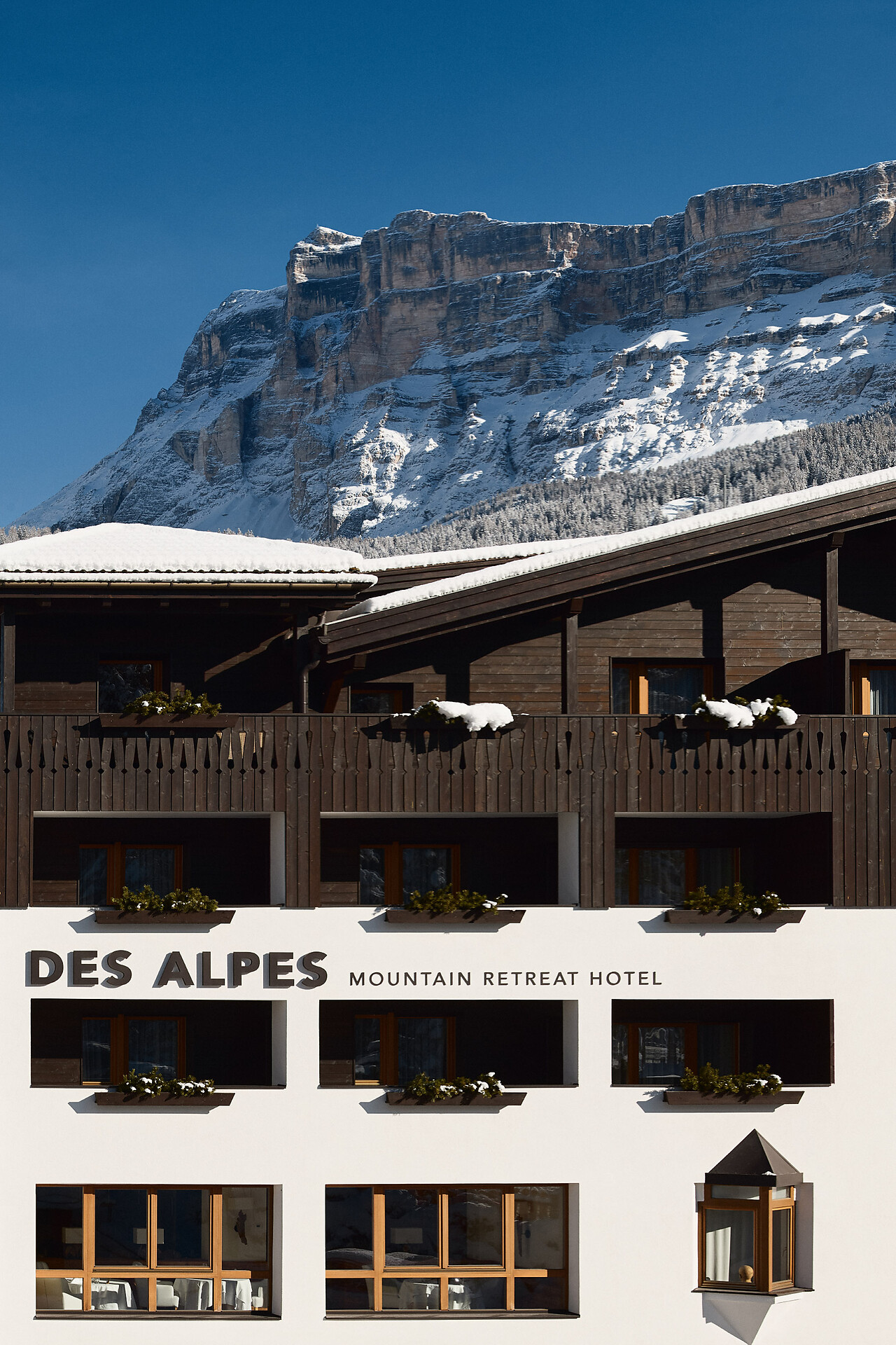 Hotel Des Alpes