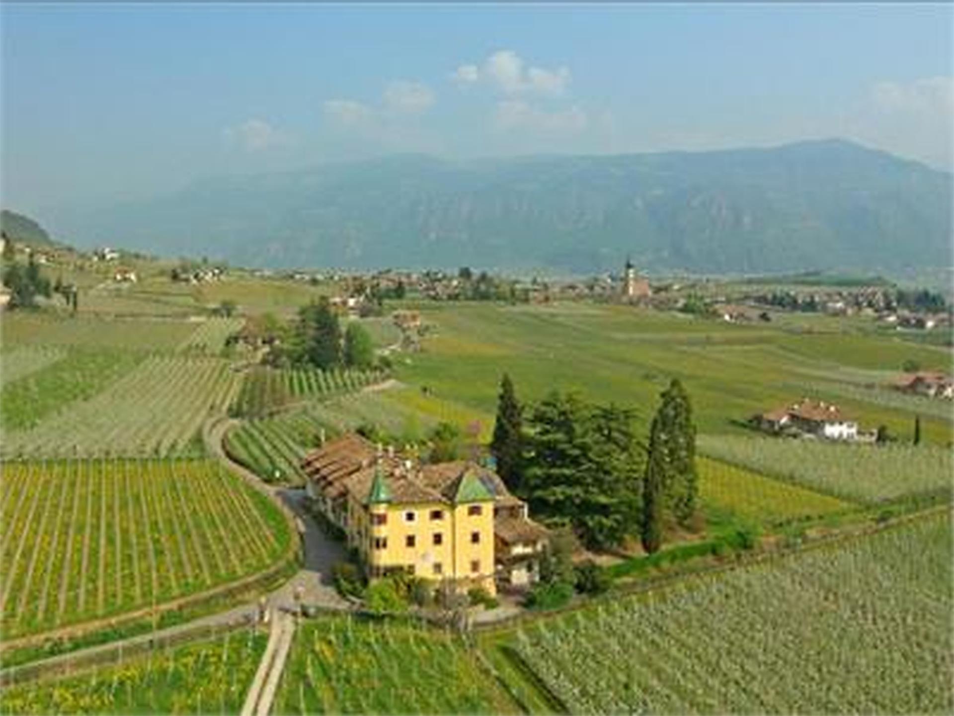 Hotel Ansitz Tschindlhof Eppan an der Weinstraße 1 suedtirol.info