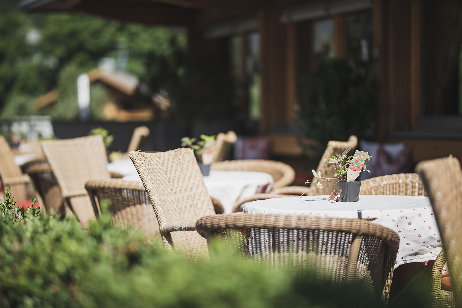 terrace