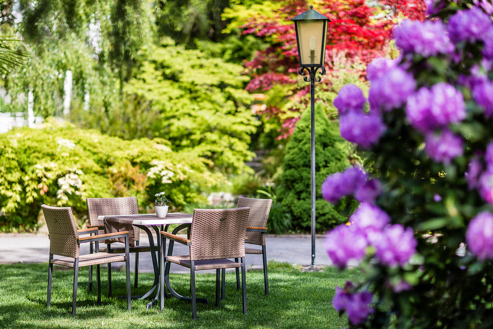 Garden