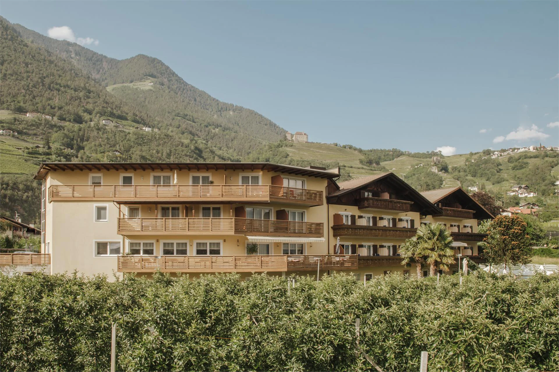 Hotel Elisabeth Meran/Merano 3 suedtirol.info