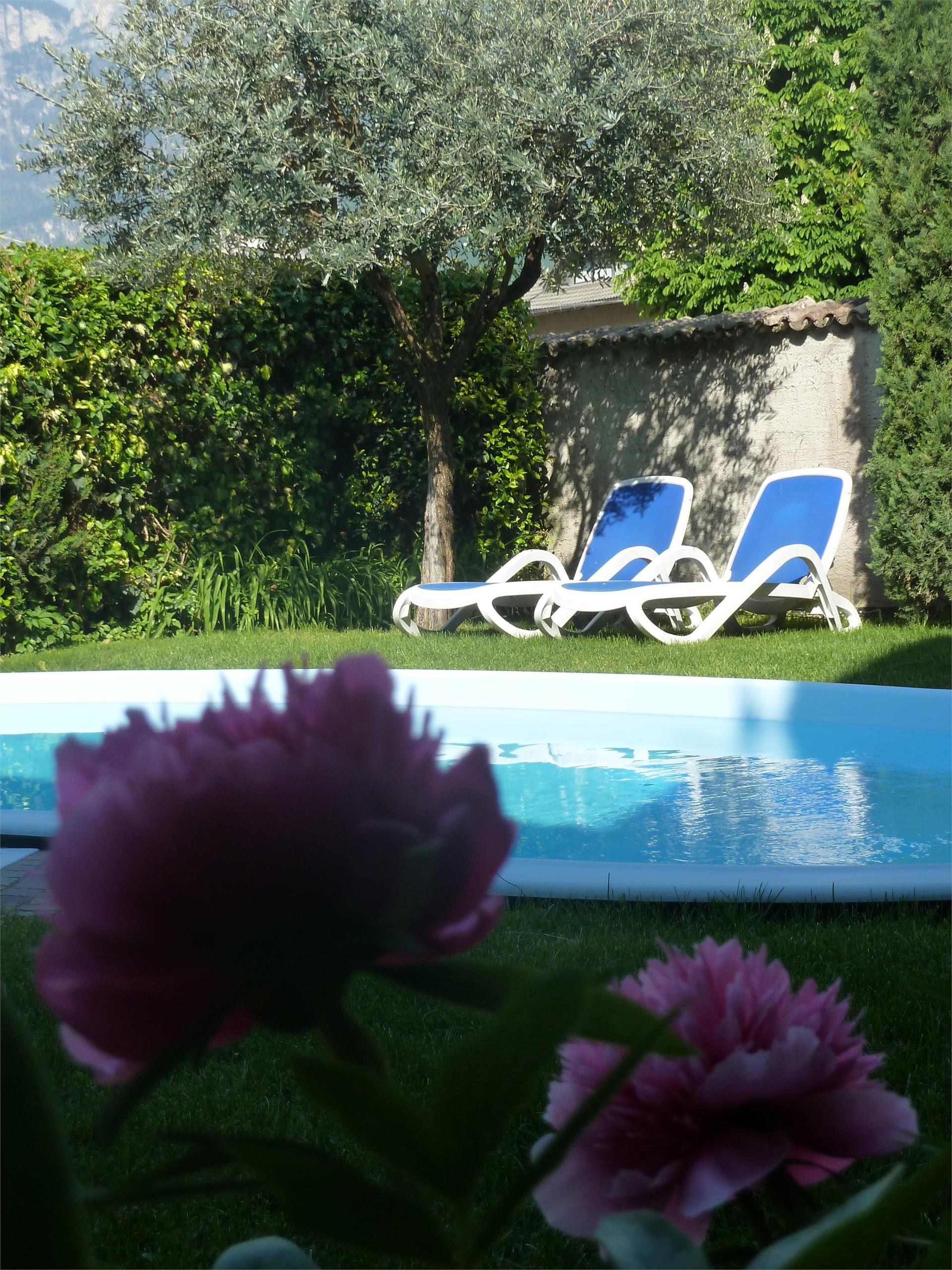 Hotel Andreas Hofer Egna 3 suedtirol.info