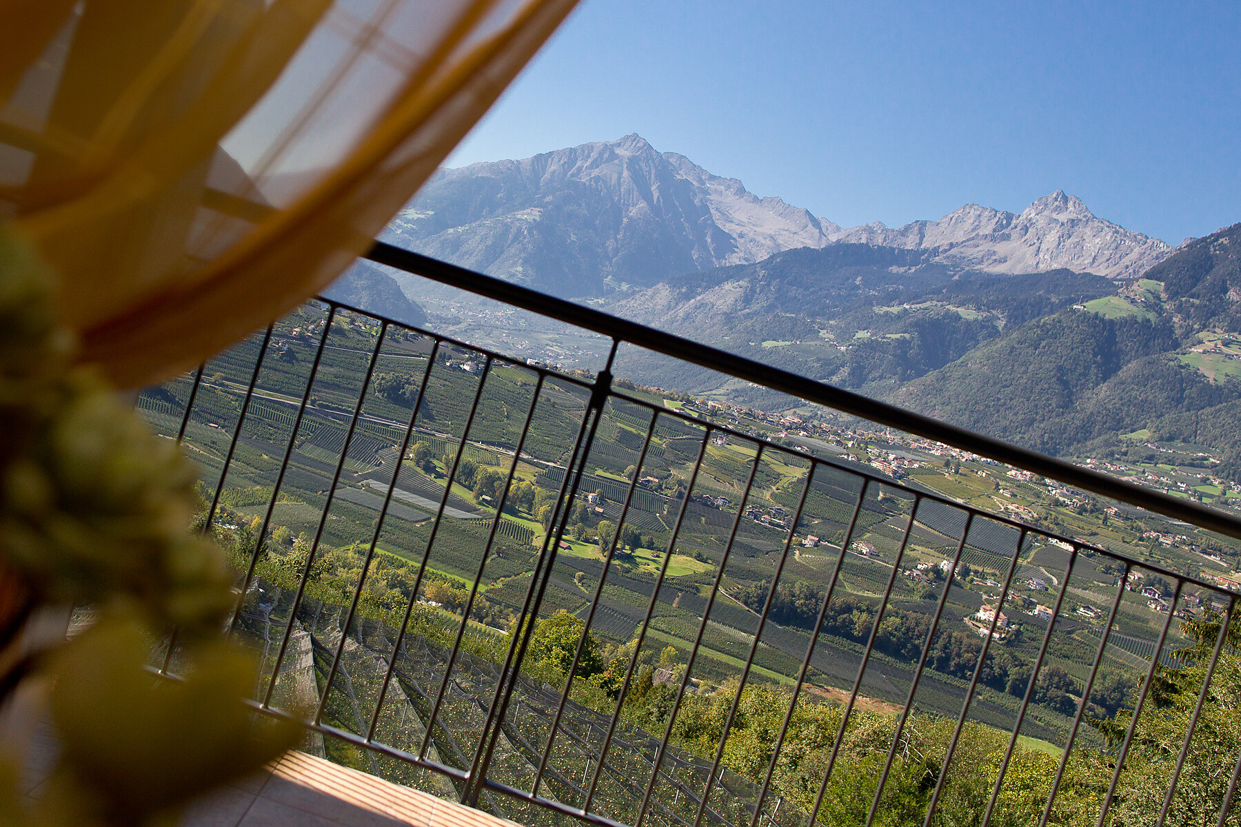 Panoramic view from our rooms & suites