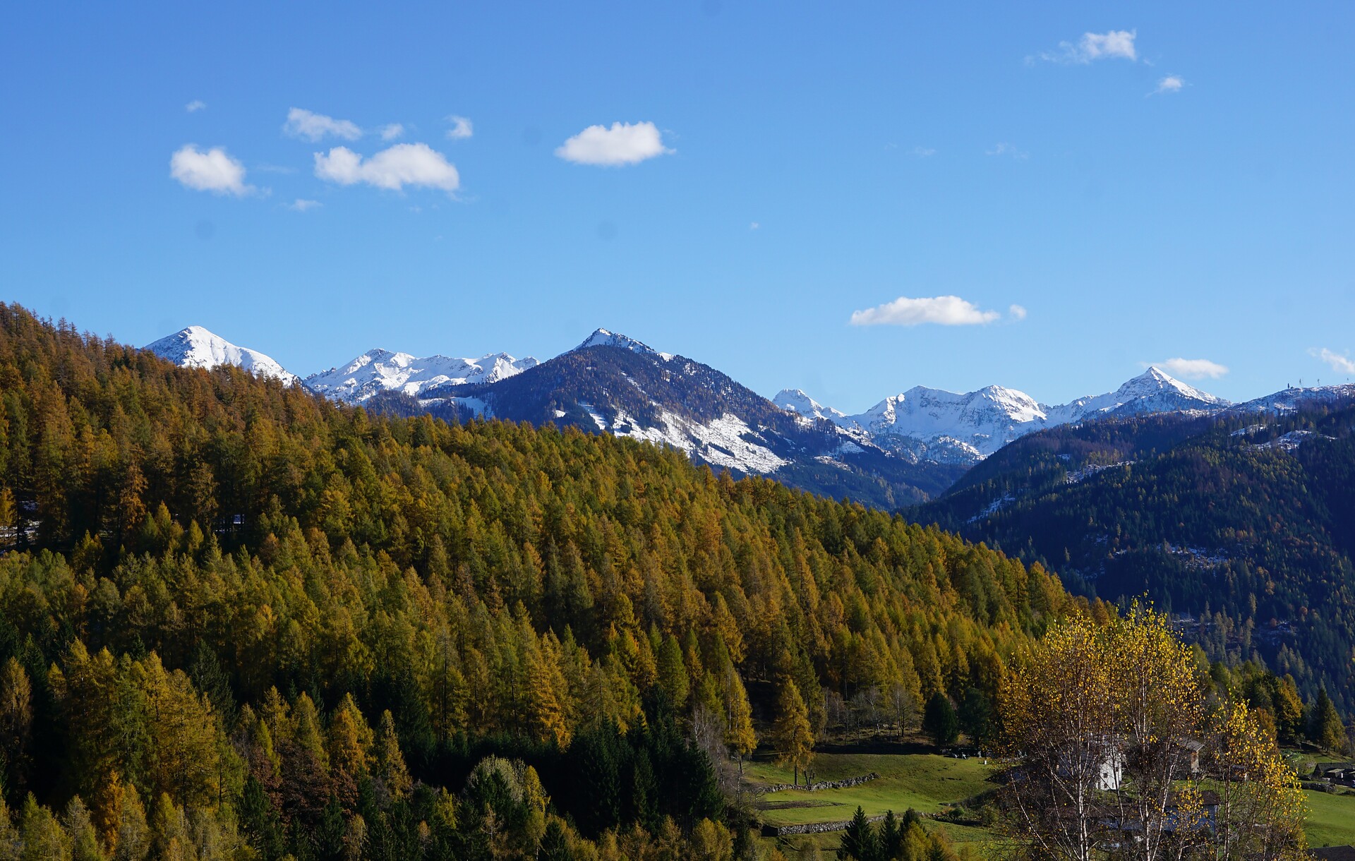 Haus an der Zirbe Altrei/Anterivo 5 suedtirol.info
