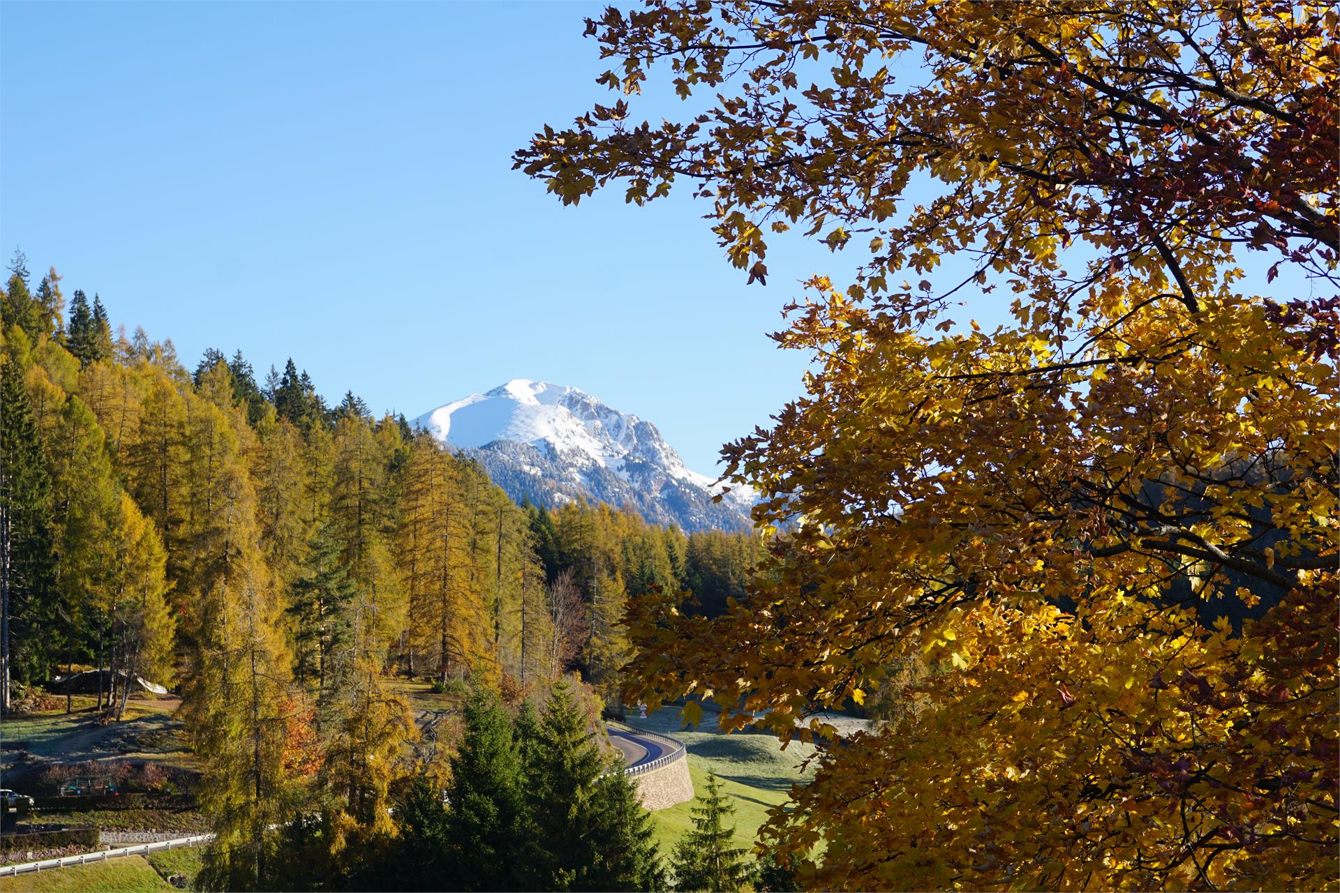 Haus an der Zirbe Altrei/Anterivo 6 suedtirol.info
