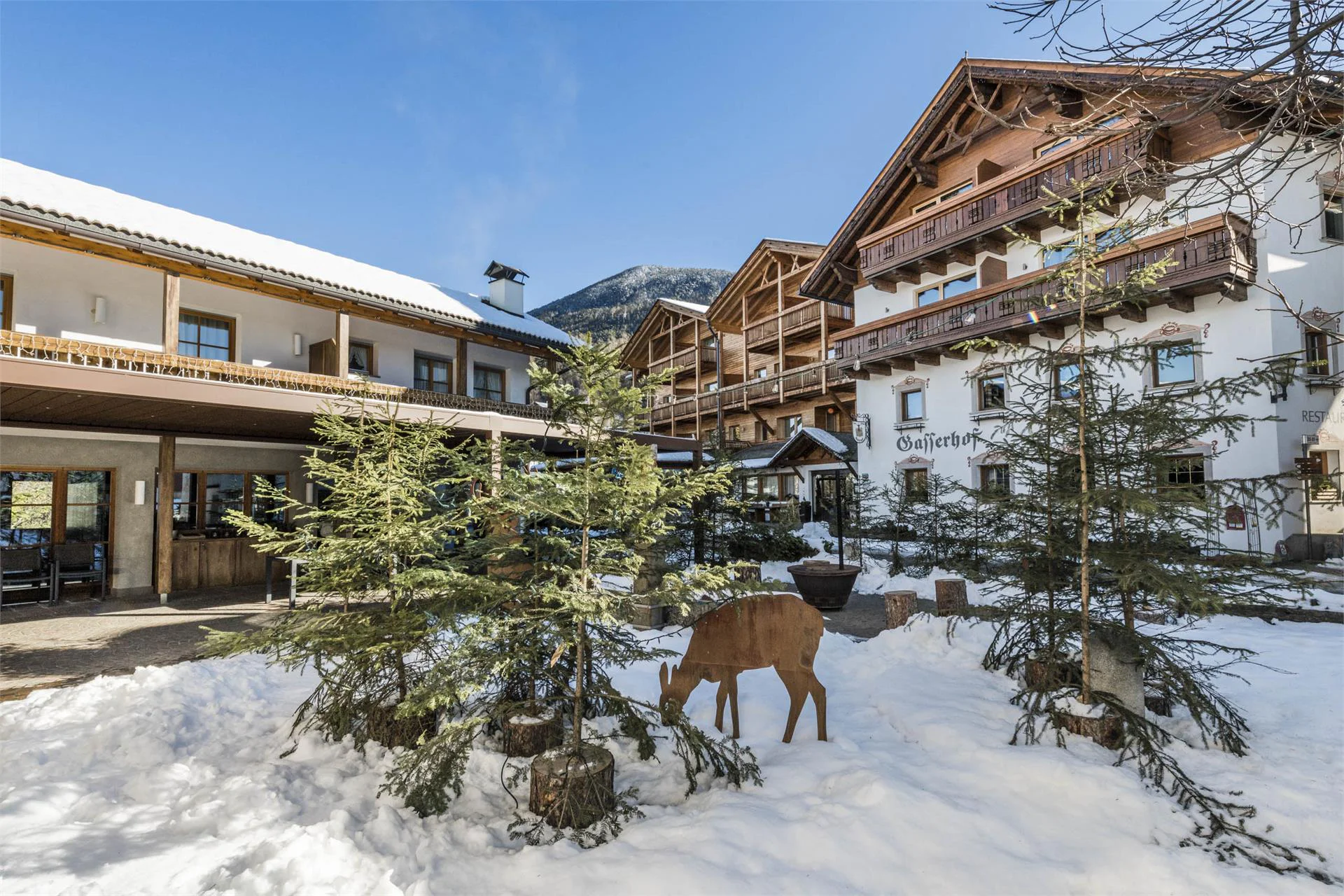 Hotel Gasserhof Brixen 4 suedtirol.info