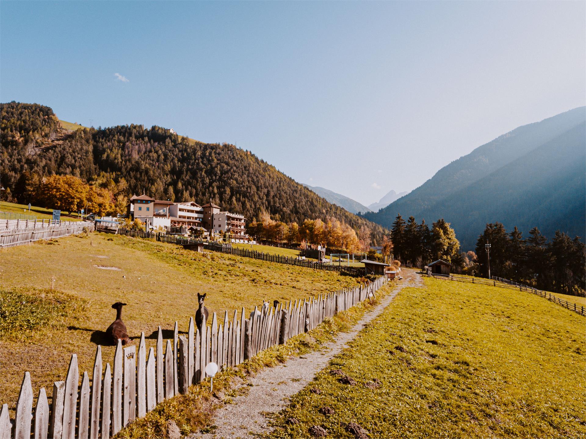 Hotel Bergschlössl Lüsen 21 suedtirol.info
