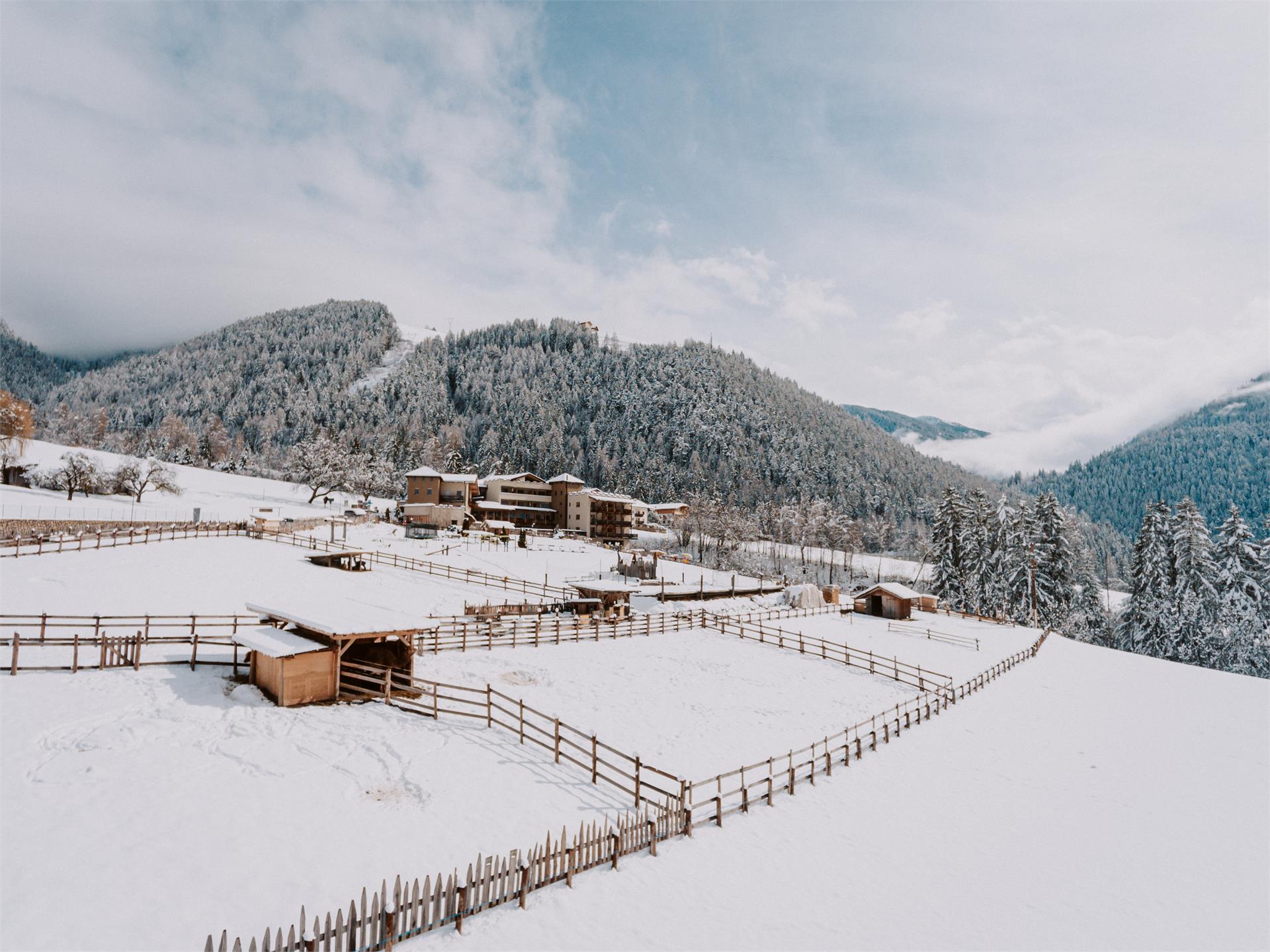 Hotel Bergschlössl Lüsen 31 suedtirol.info