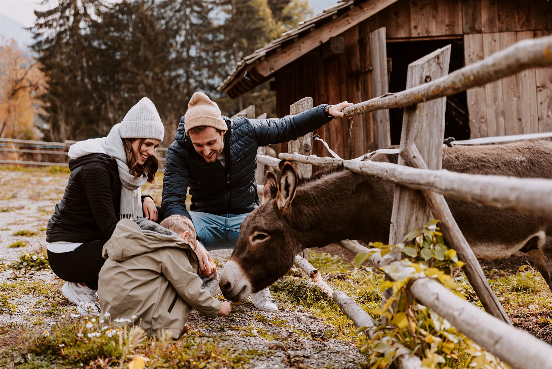 Hotel Bergschlössl Lüsen 25 suedtirol.info