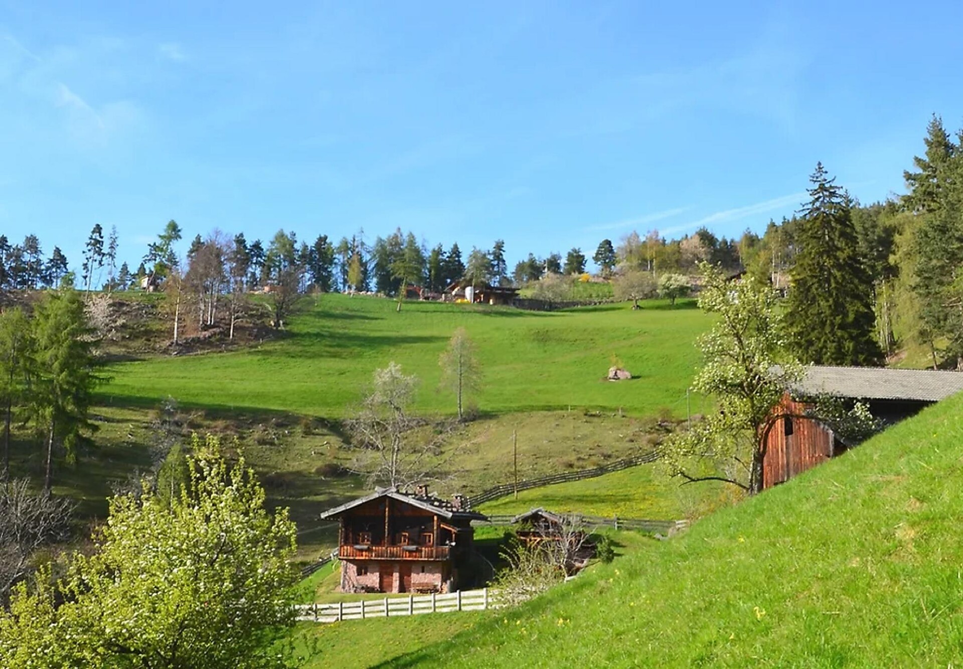 Vista