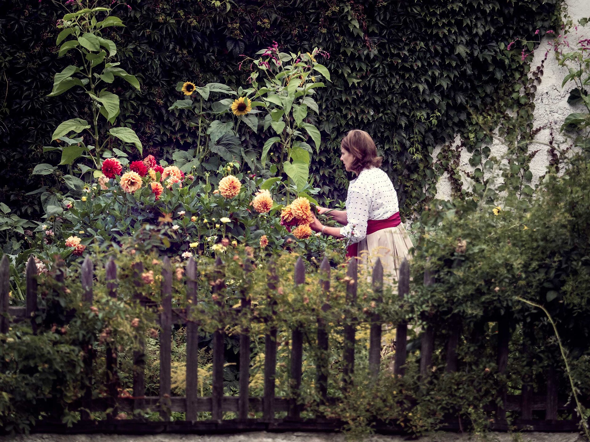 Flower garden