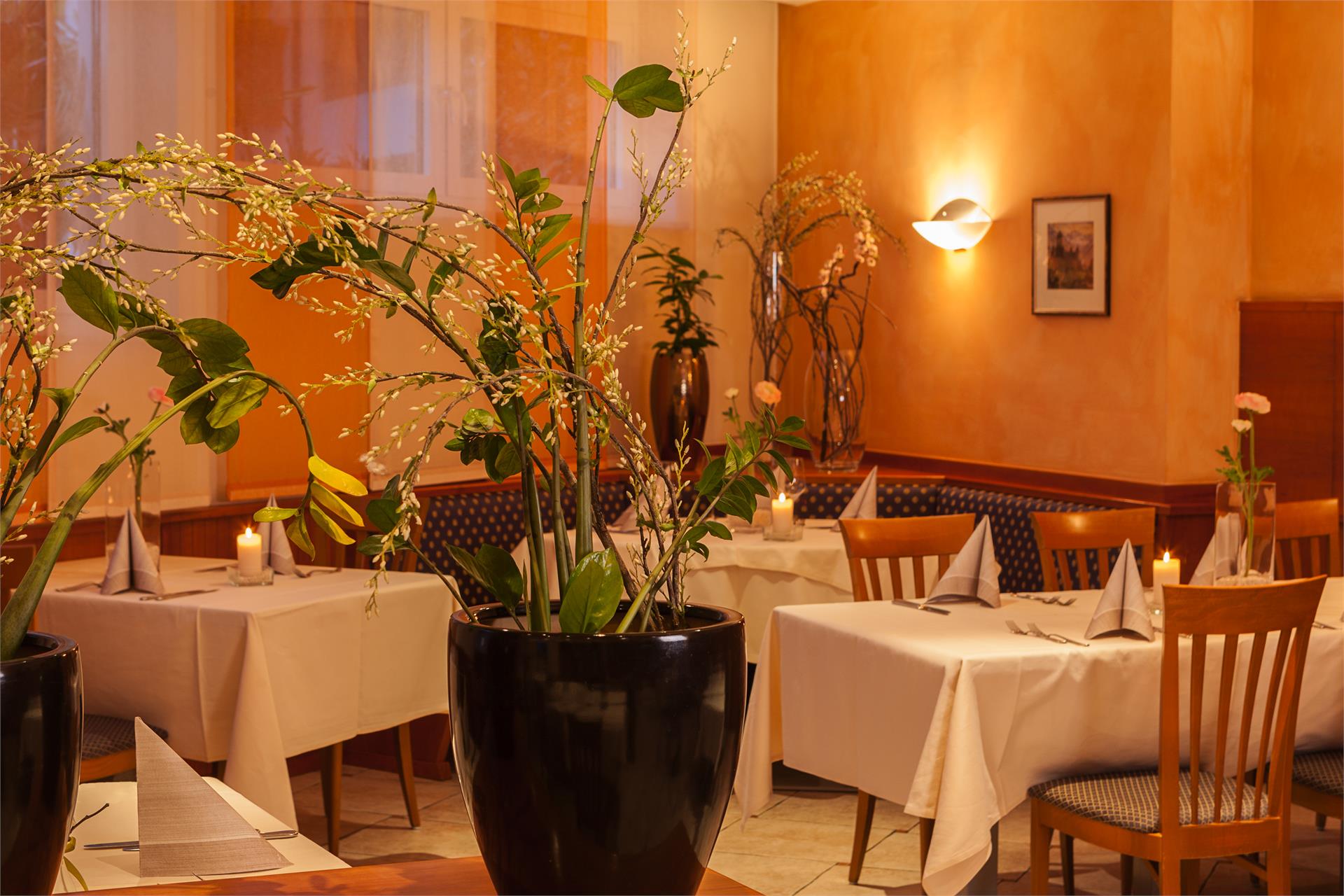 Hotel Tannerhof Schenna/Scena 5 suedtirol.info