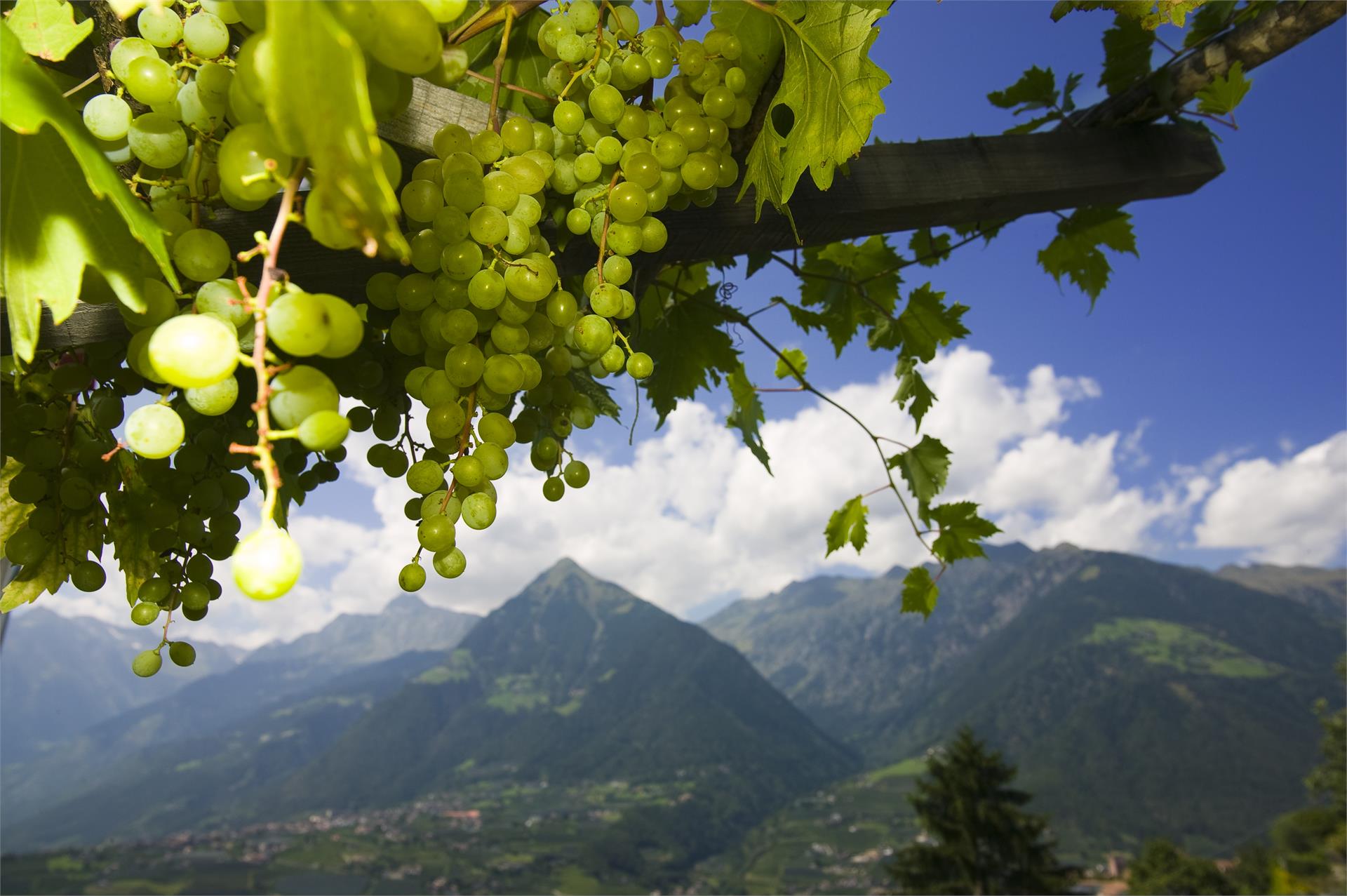Haus Hohenrain Schenna 4 suedtirol.info