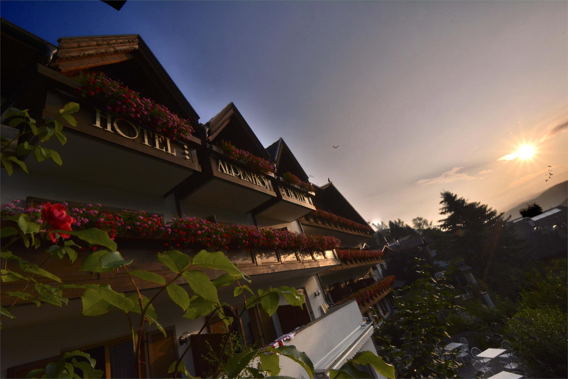 Hotel Alpenhof Ulten 9 suedtirol.info