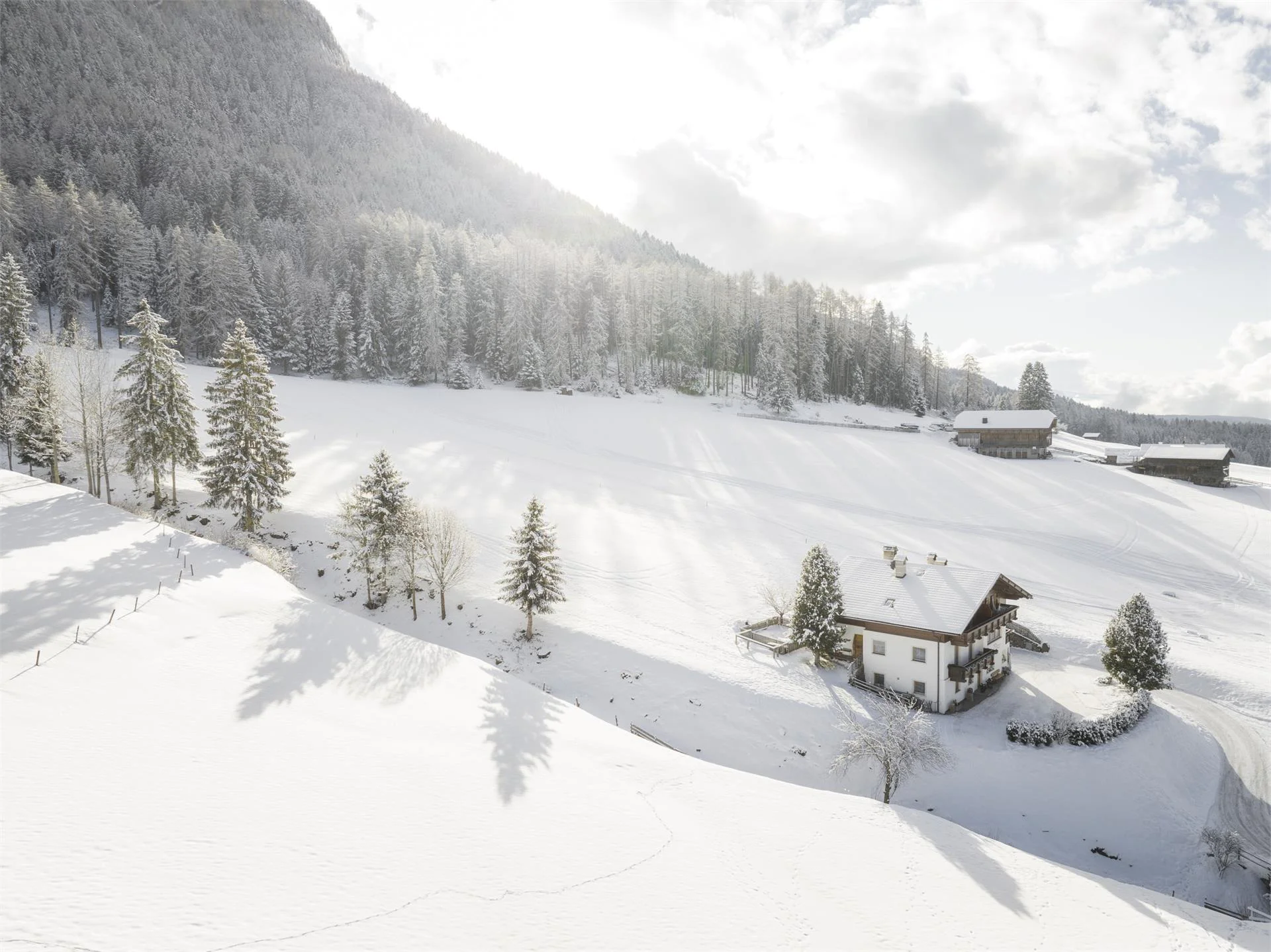 Hotel Baumwirt Kastelruth 13 suedtirol.info