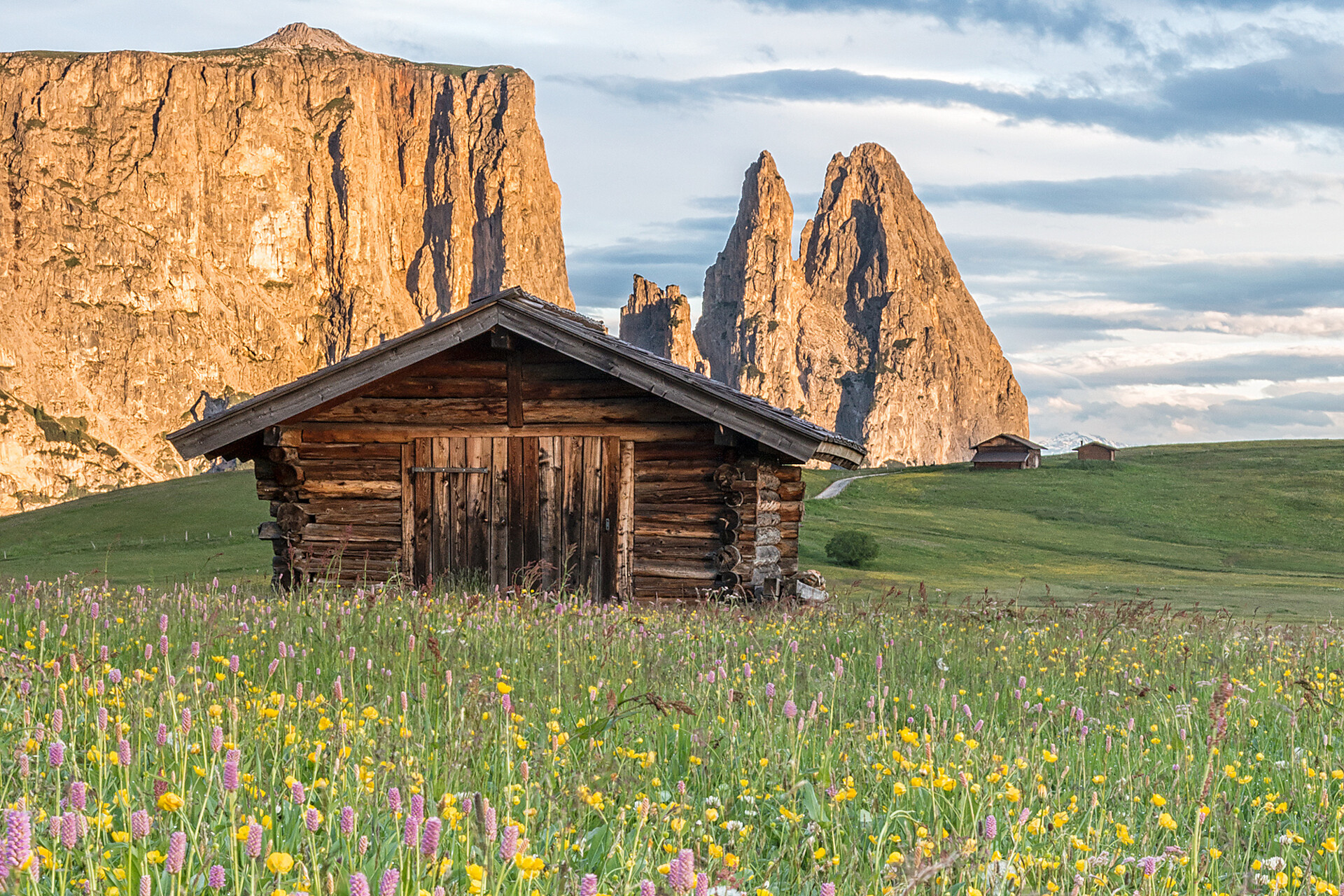 Alpe di siusi summer