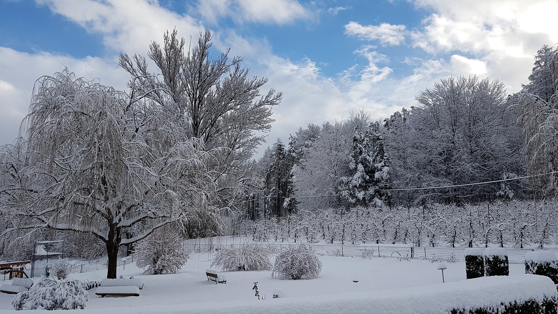 Winter im Flötscherhof