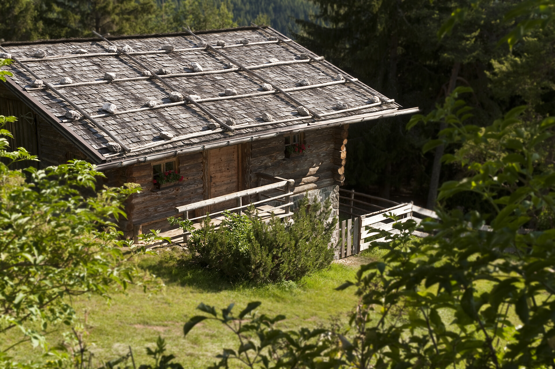Hofer Alpl Völs am Schlern 5 suedtirol.info