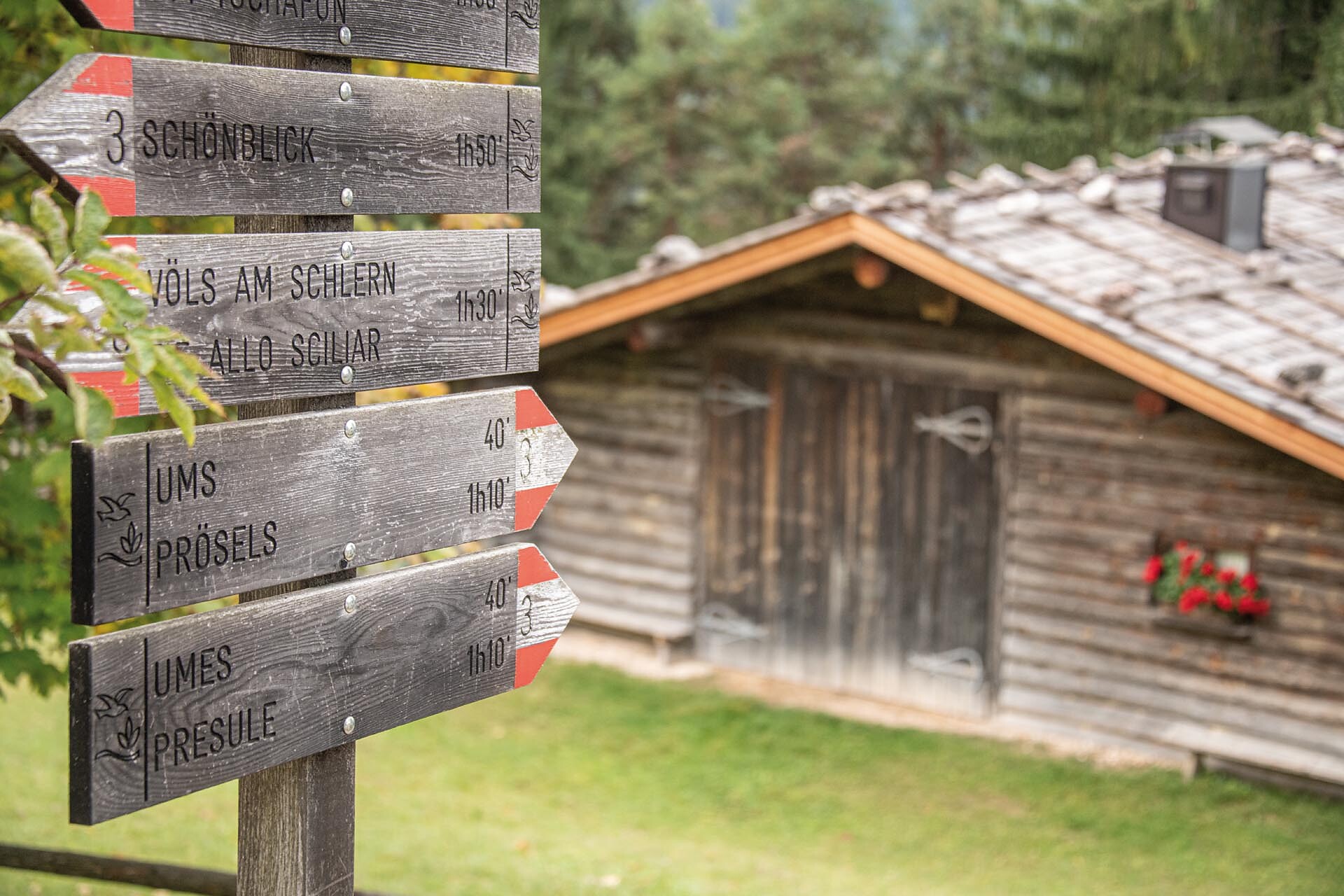 Hofer Alpl - Dolomitenregion Seiser Alm - #8 - suedtirol.info