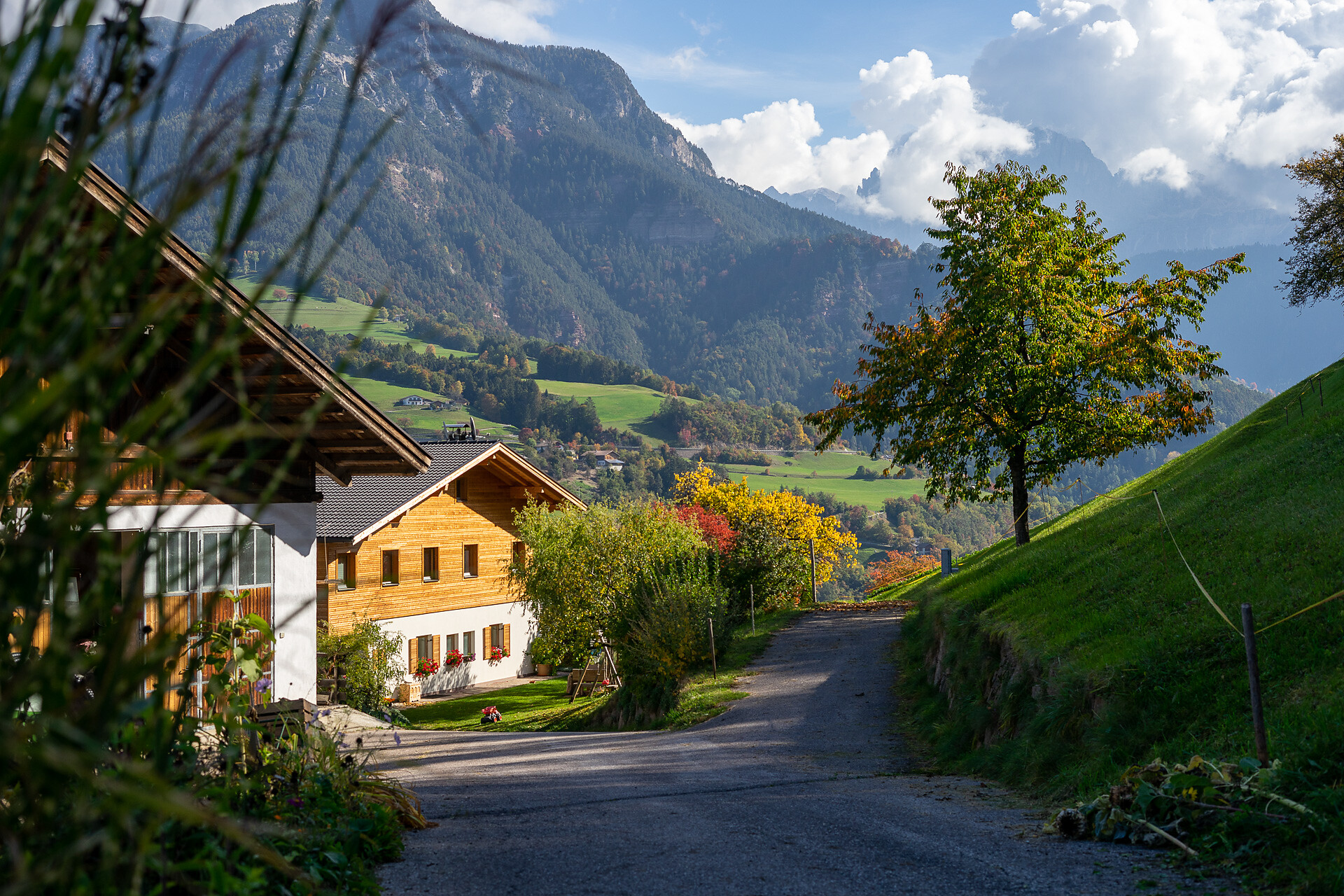 Höllerhof Cornedo all'Isarco 2 suedtirol.info