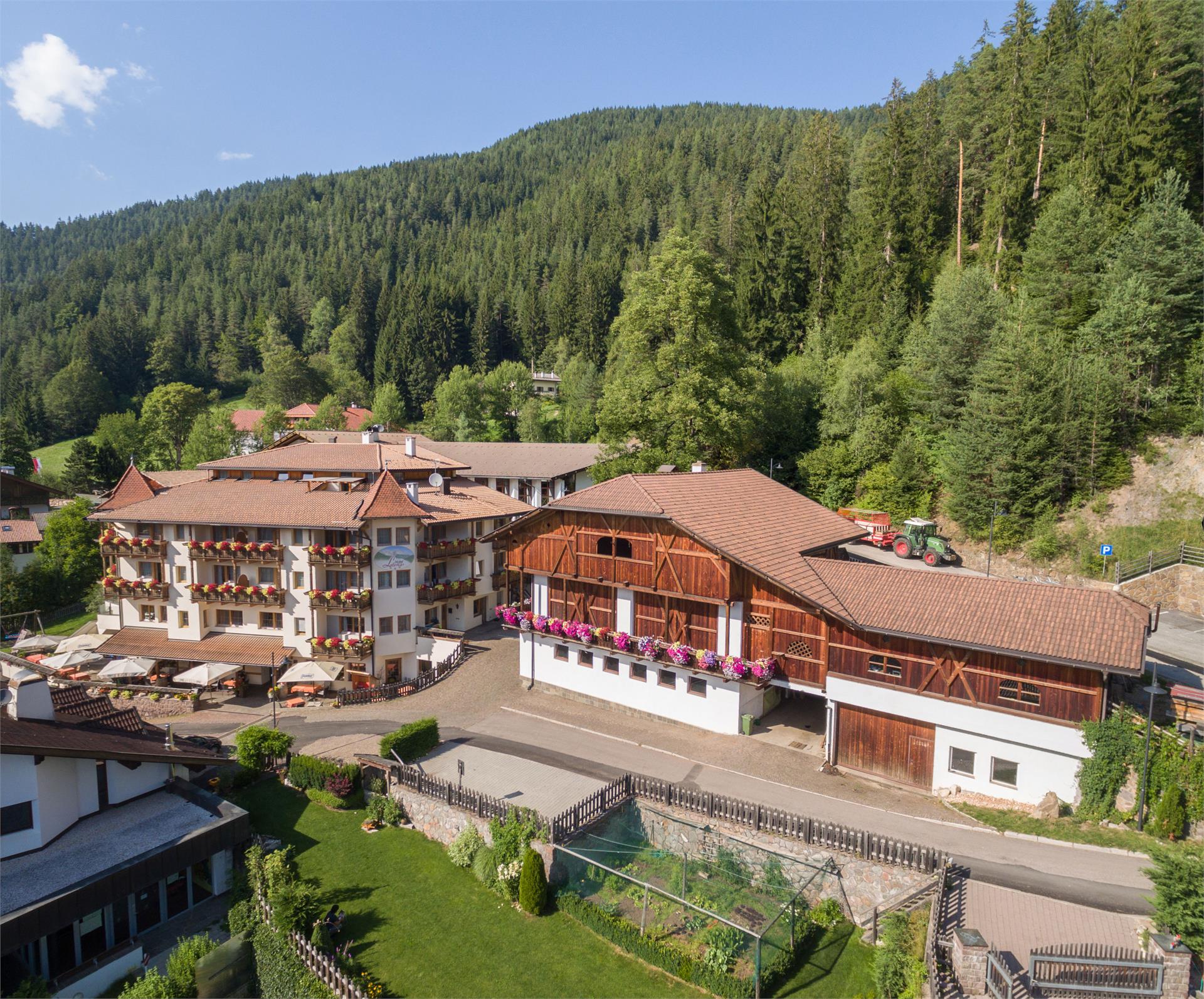 Hotel Latemar Nova Ponente 9 suedtirol.info