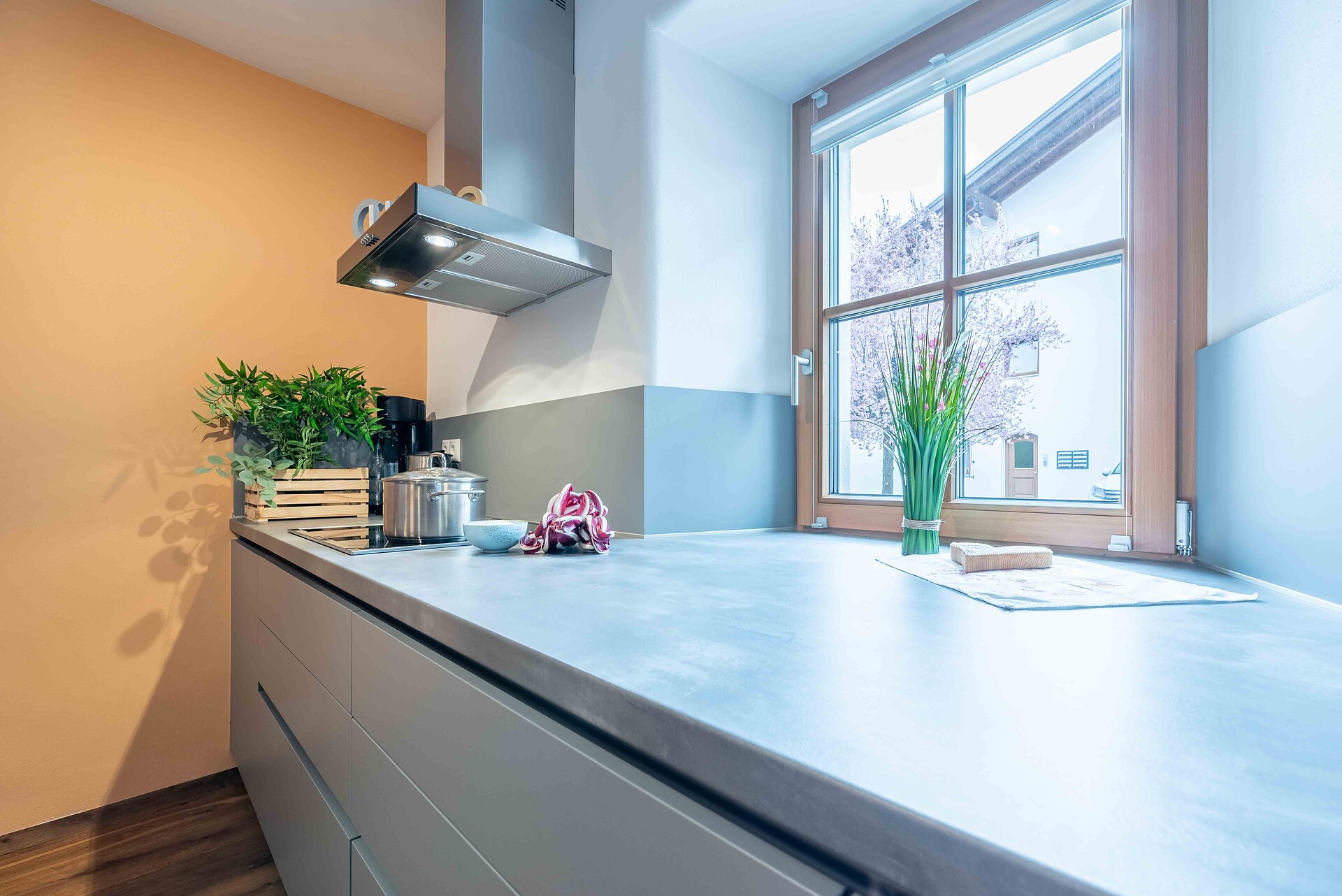 Haus Bruno - Vinschgau - #28 - suedtirol.info