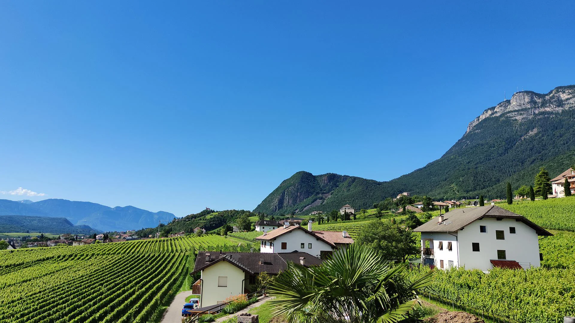 Highlight Apartments Eppan an der Weinstaße/Appiano sulla Strada del Vino 26 suedtirol.info