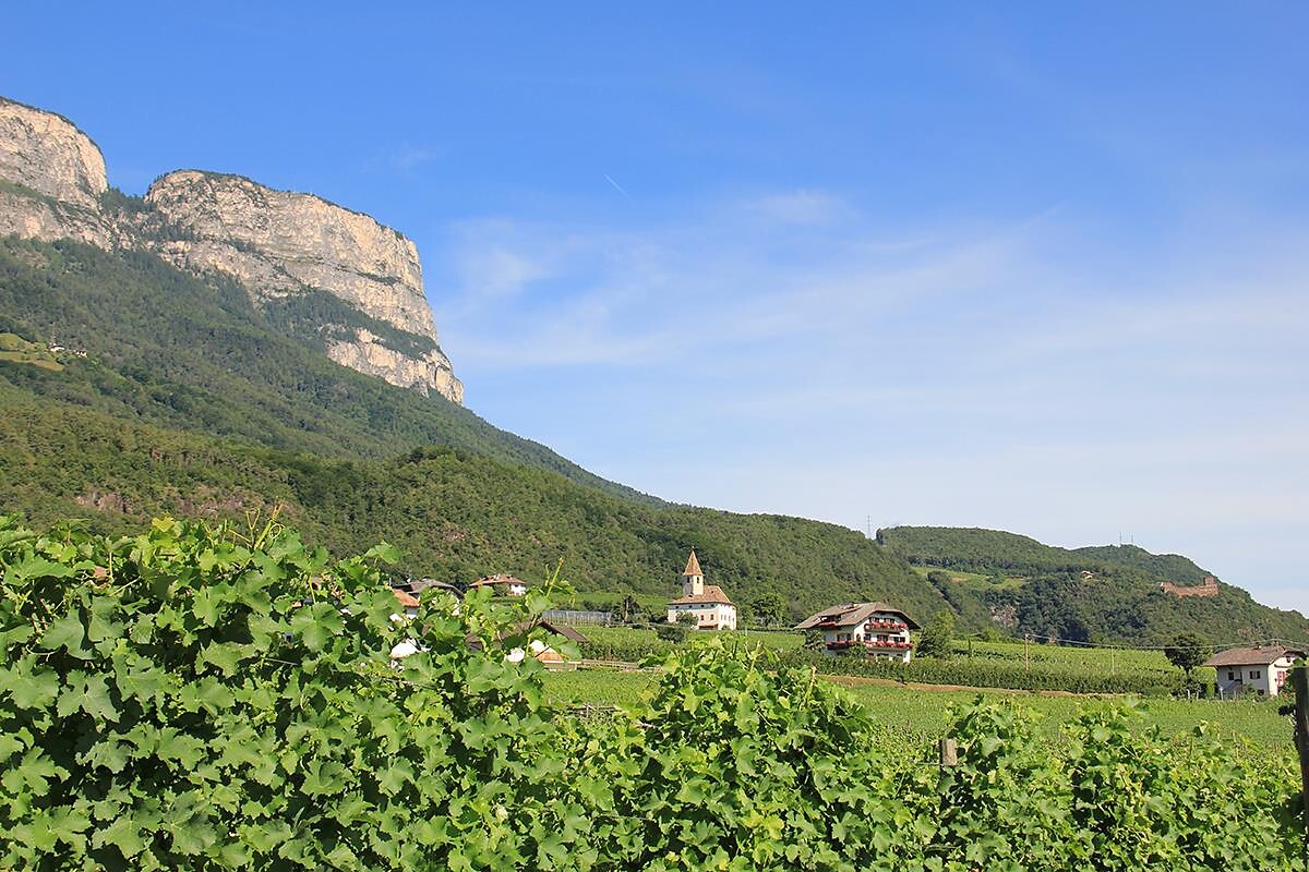 vista panoramica