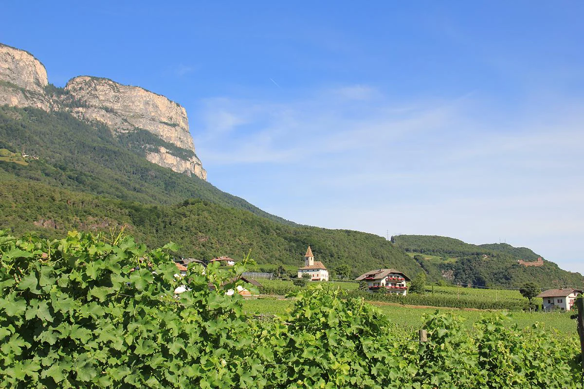 Highlight Apartments Eppan an der Weinstaße/Appiano sulla Strada del Vino 15 suedtirol.info