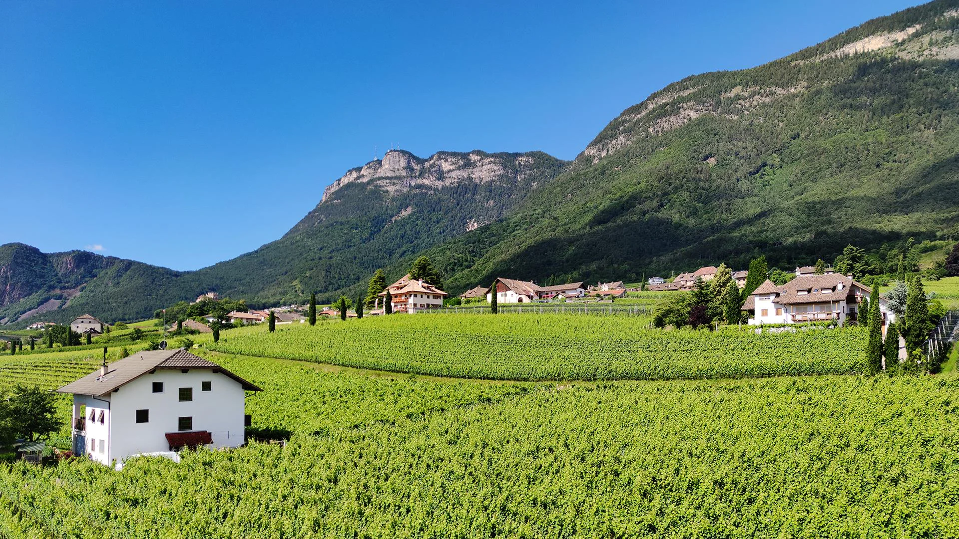 Highlight Apartments Eppan an der Weinstaße/Appiano sulla Strada del Vino 25 suedtirol.info