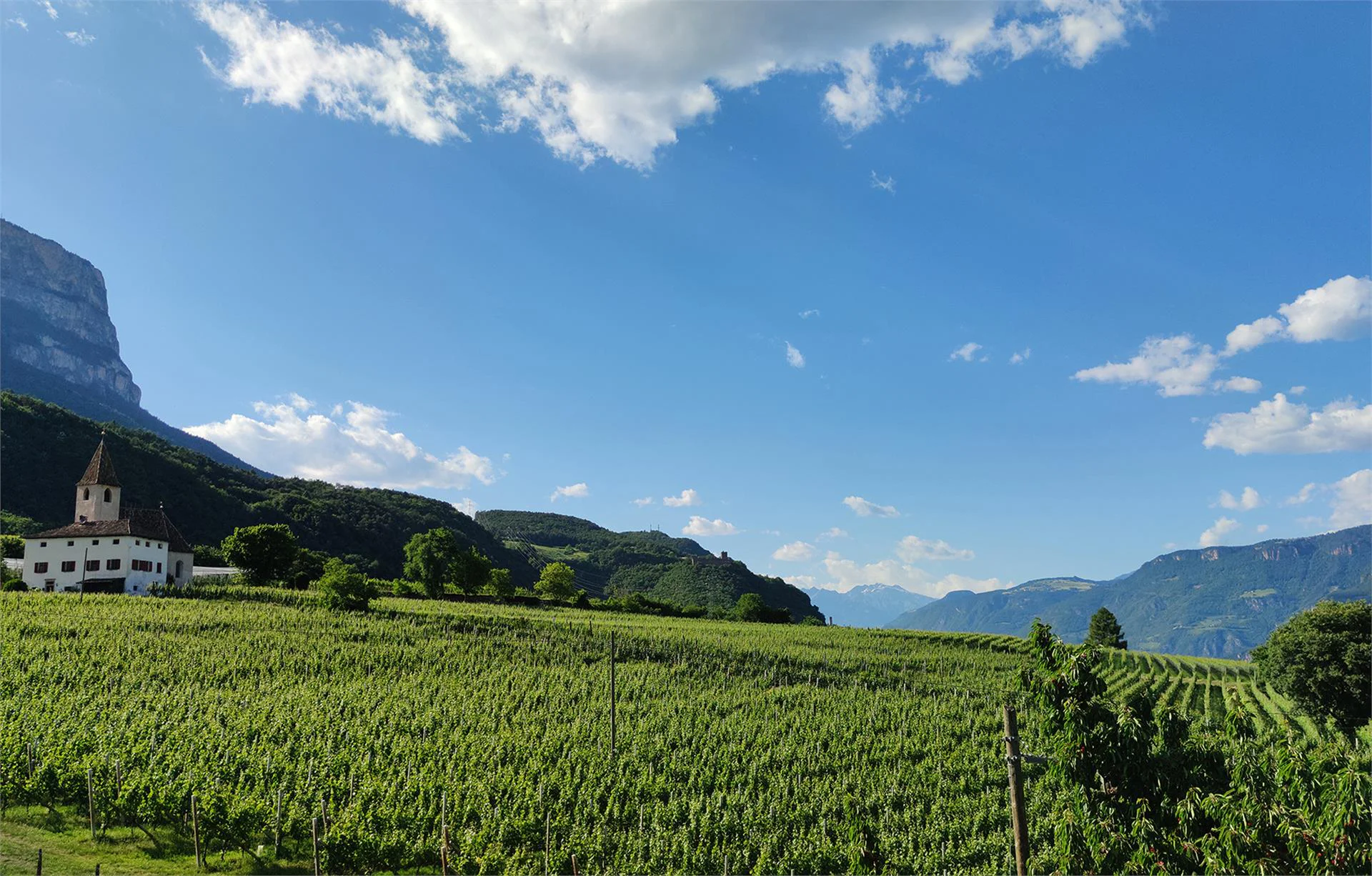 Highlight Apartments Eppan an der Weinstaße/Appiano sulla Strada del Vino 24 suedtirol.info