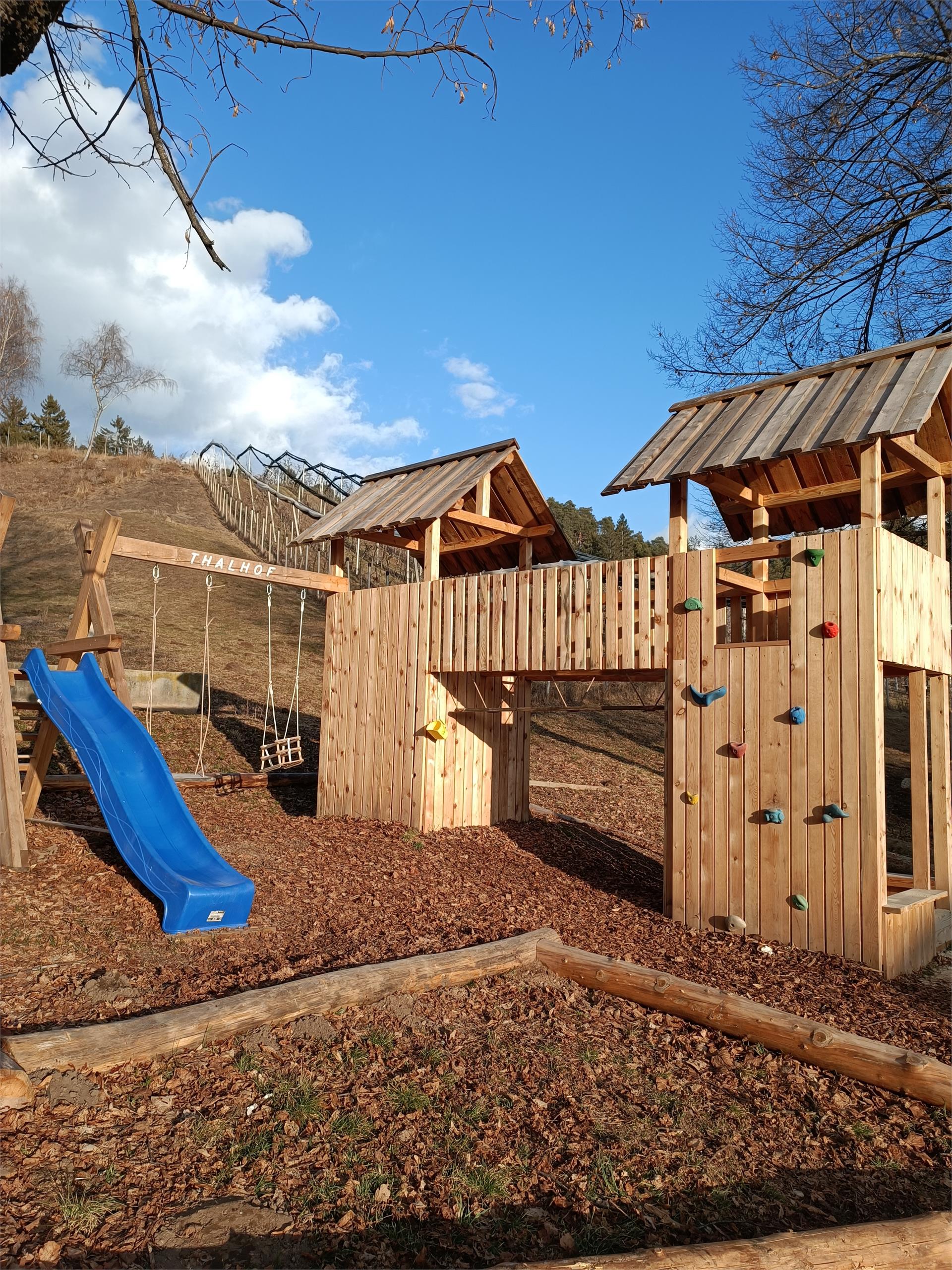 Hof im Thal Aldein/Aldino 3 suedtirol.info