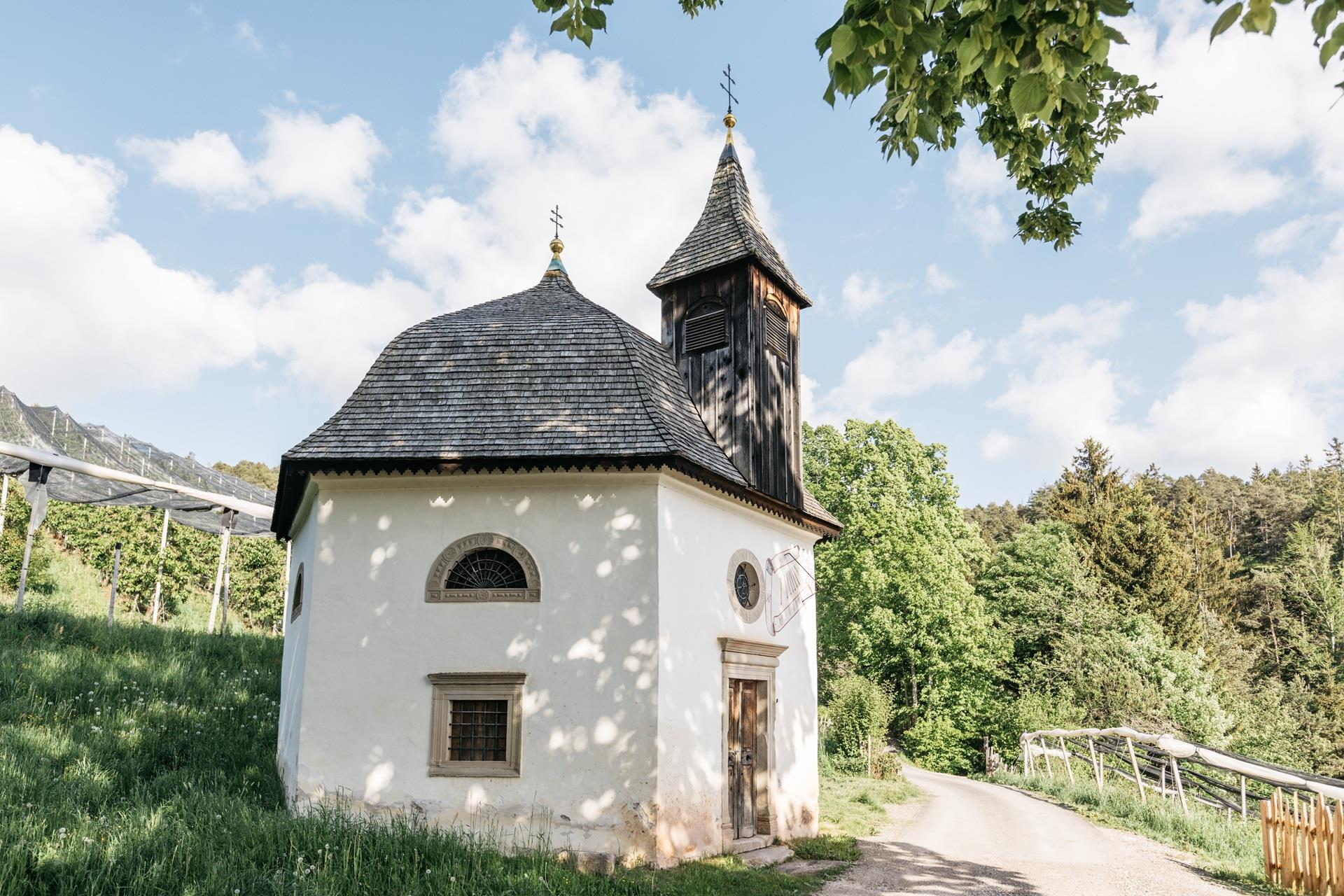 Hof im Thal Aldein/Aldino 5 suedtirol.info