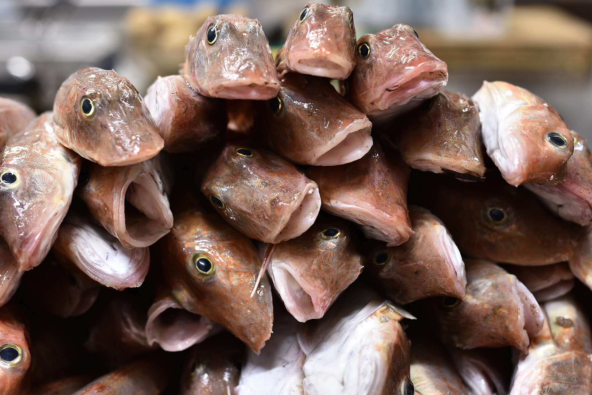 Fischspezialitäten