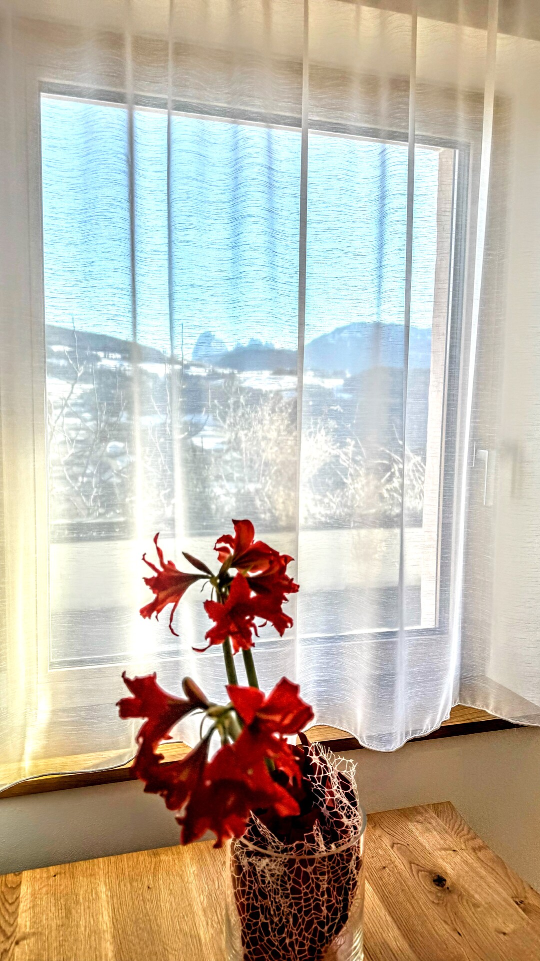 Apartment With A View