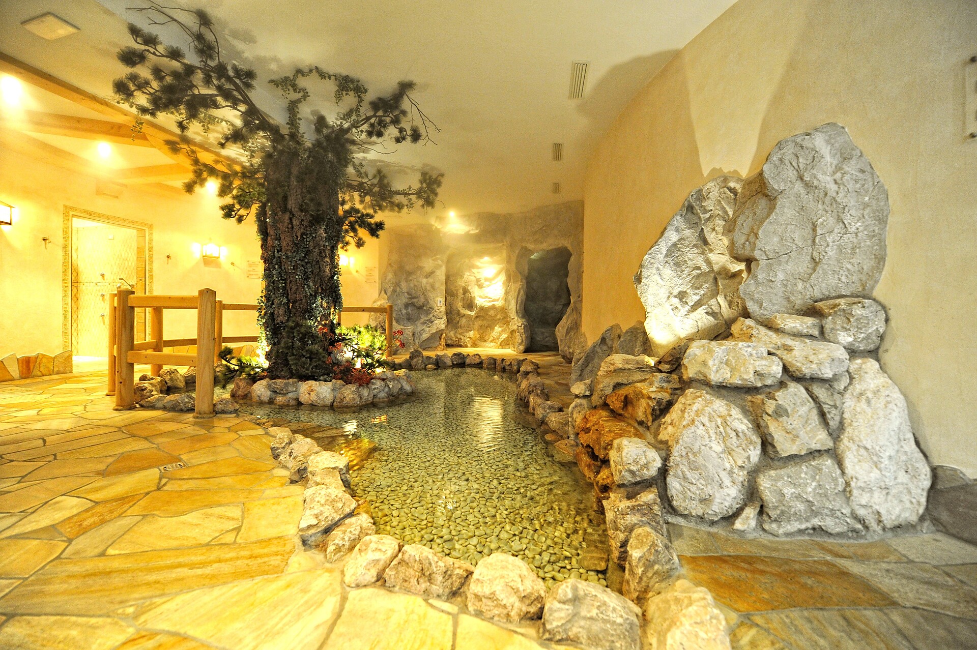 Wellness