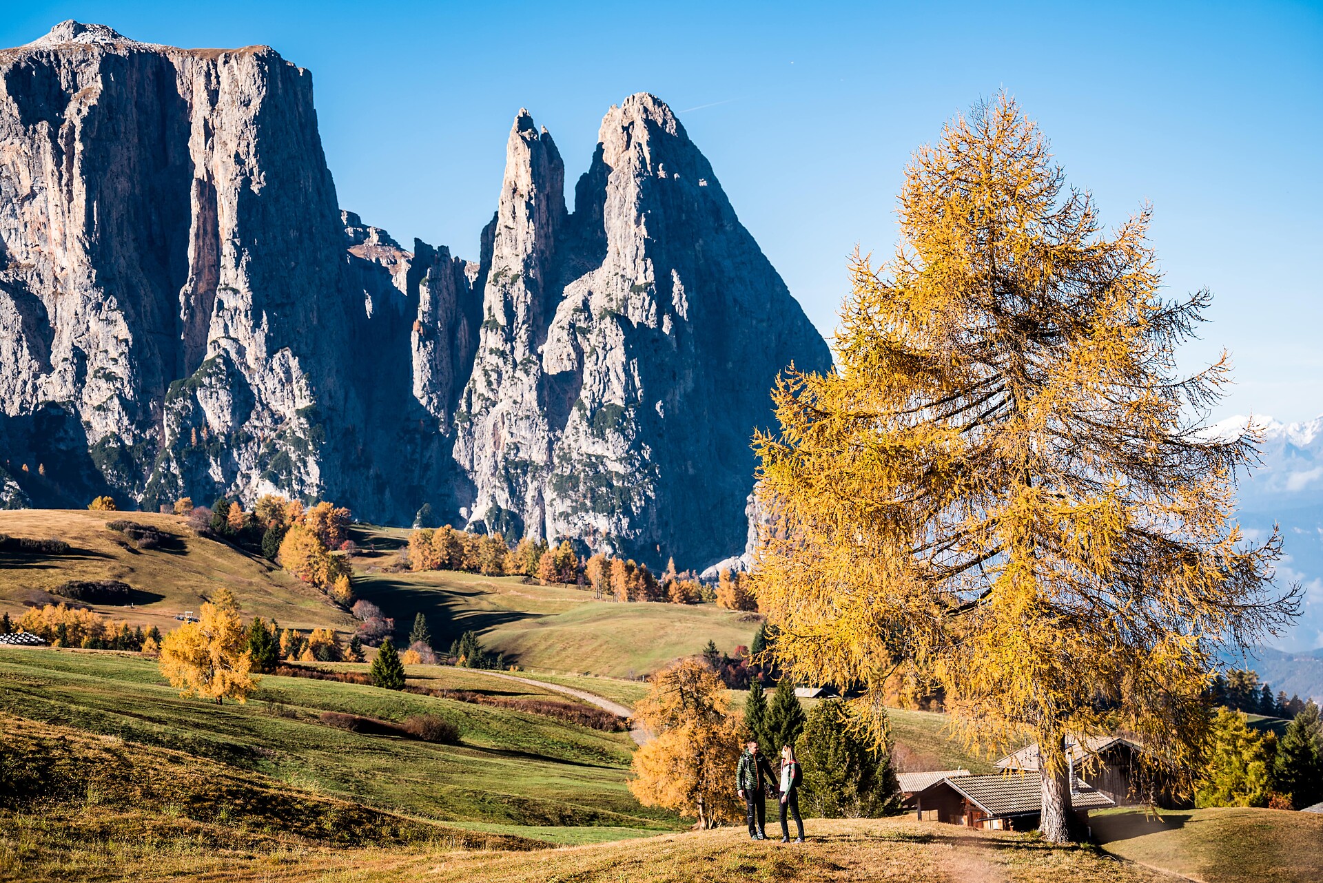 Hotel Steger Dellai Kastelruth 22 suedtirol.info