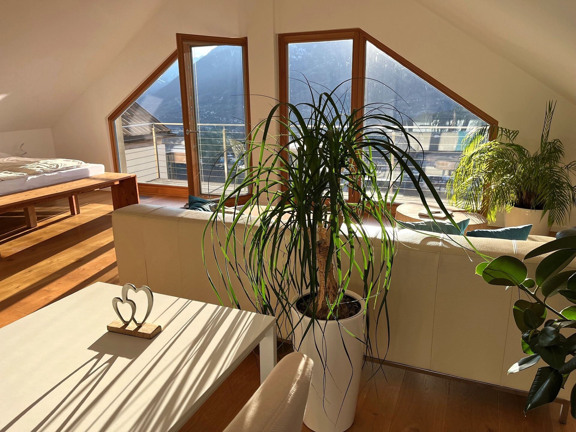 Heart & View - Meran und Umgebung - #7 - suedtirol.info