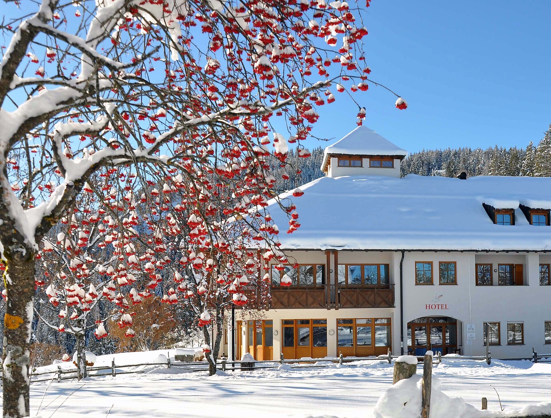Hotel Corno Bianco