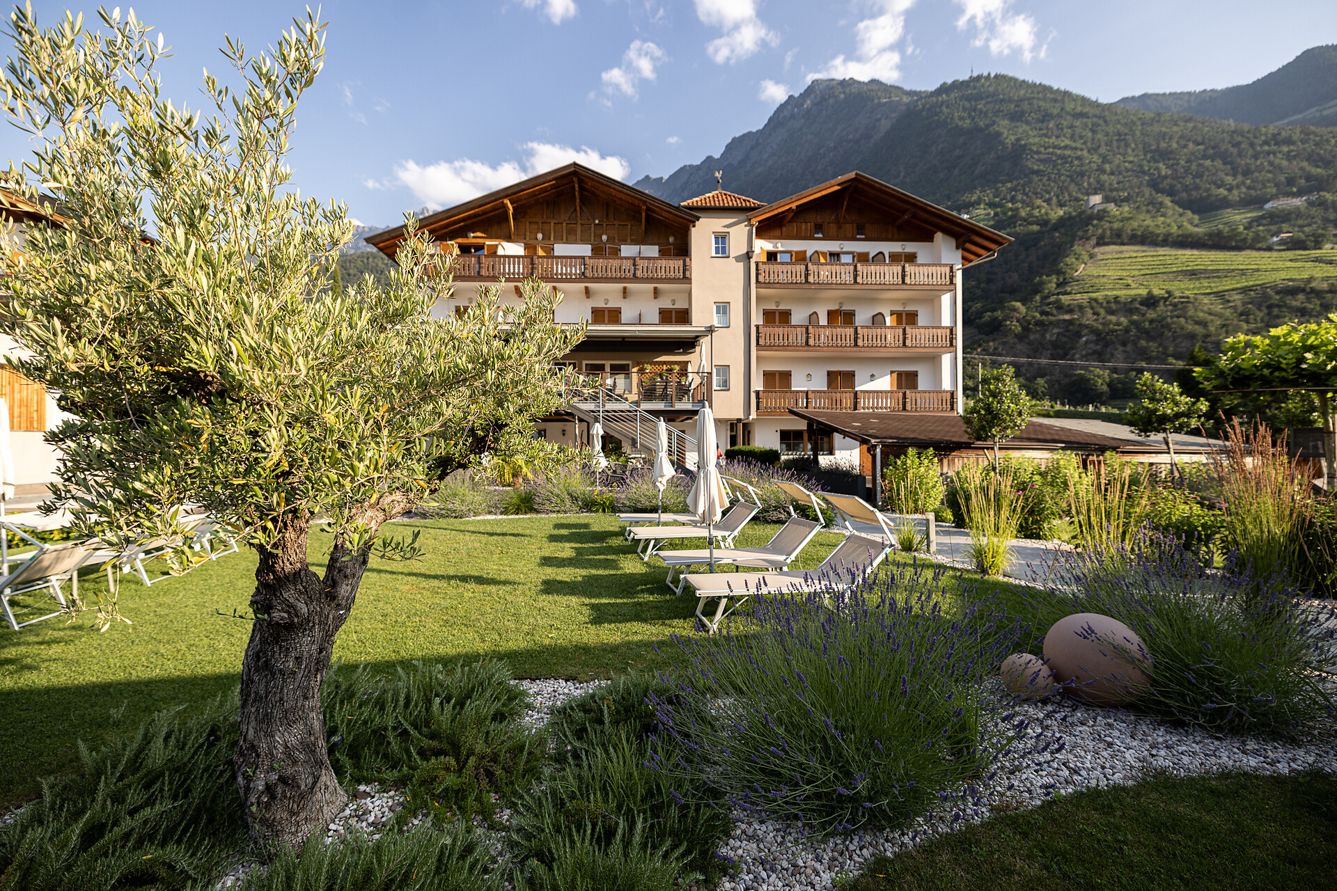 Hotel Heinrichshof Algund 2 suedtirol.info