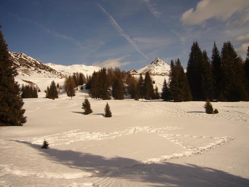 Innerrauthof Sexten/Sesto 16 suedtirol.info