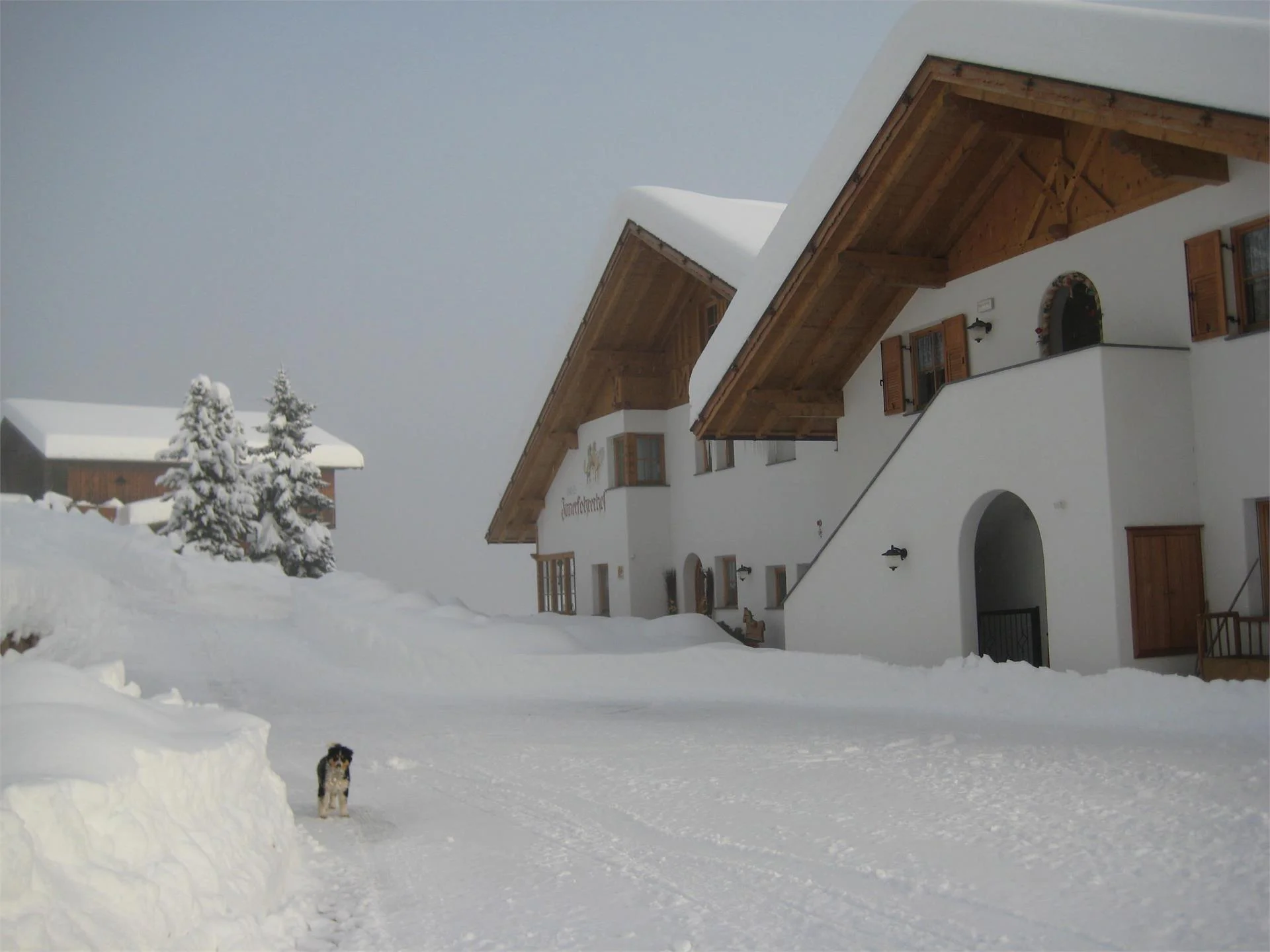 Maso Innerfohrer Nova Levante 8 suedtirol.info