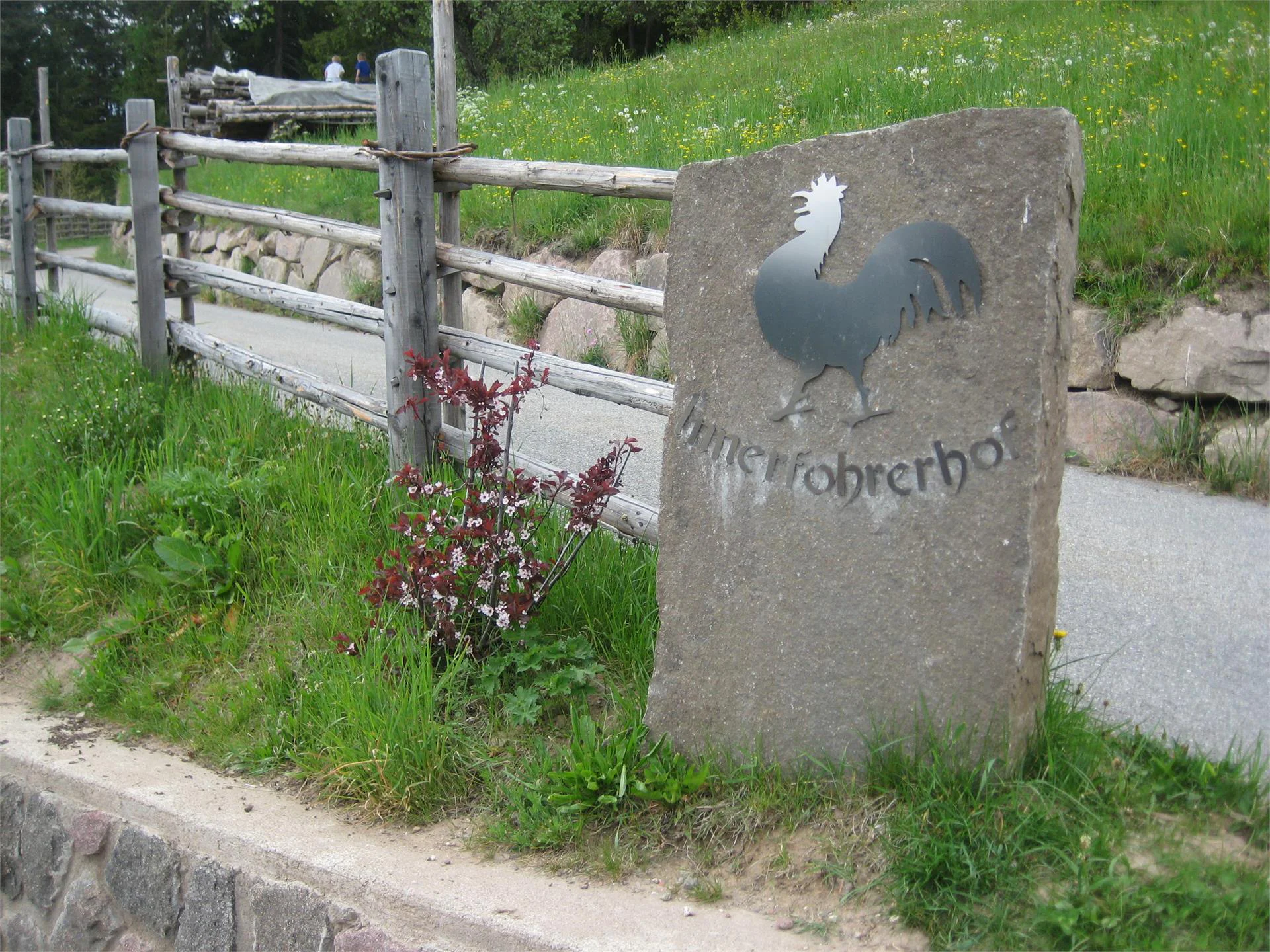 Maso Innerfohrer Nova Levante 11 suedtirol.info