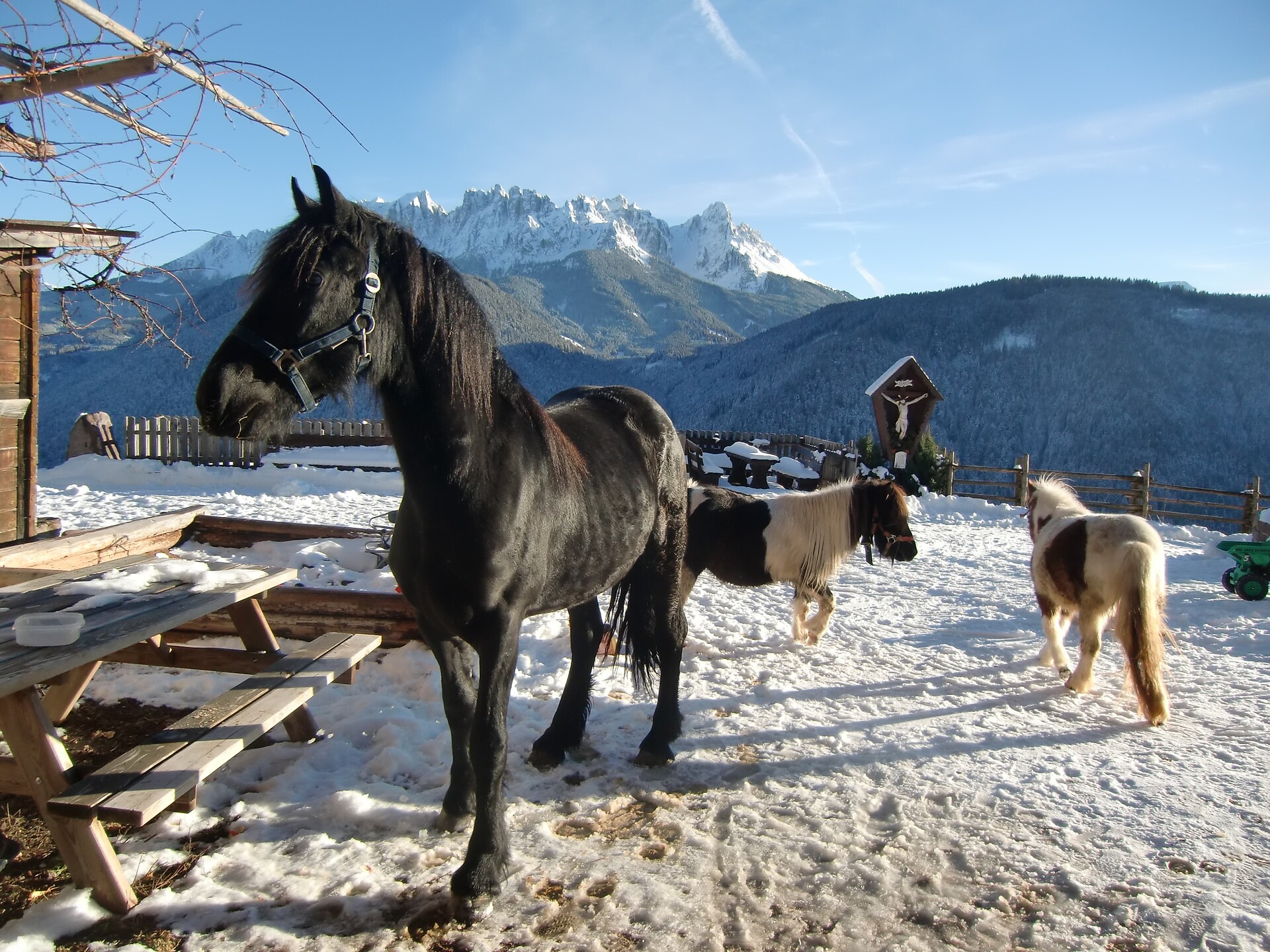 Innerfohrerhof Welschnofen 10 suedtirol.info