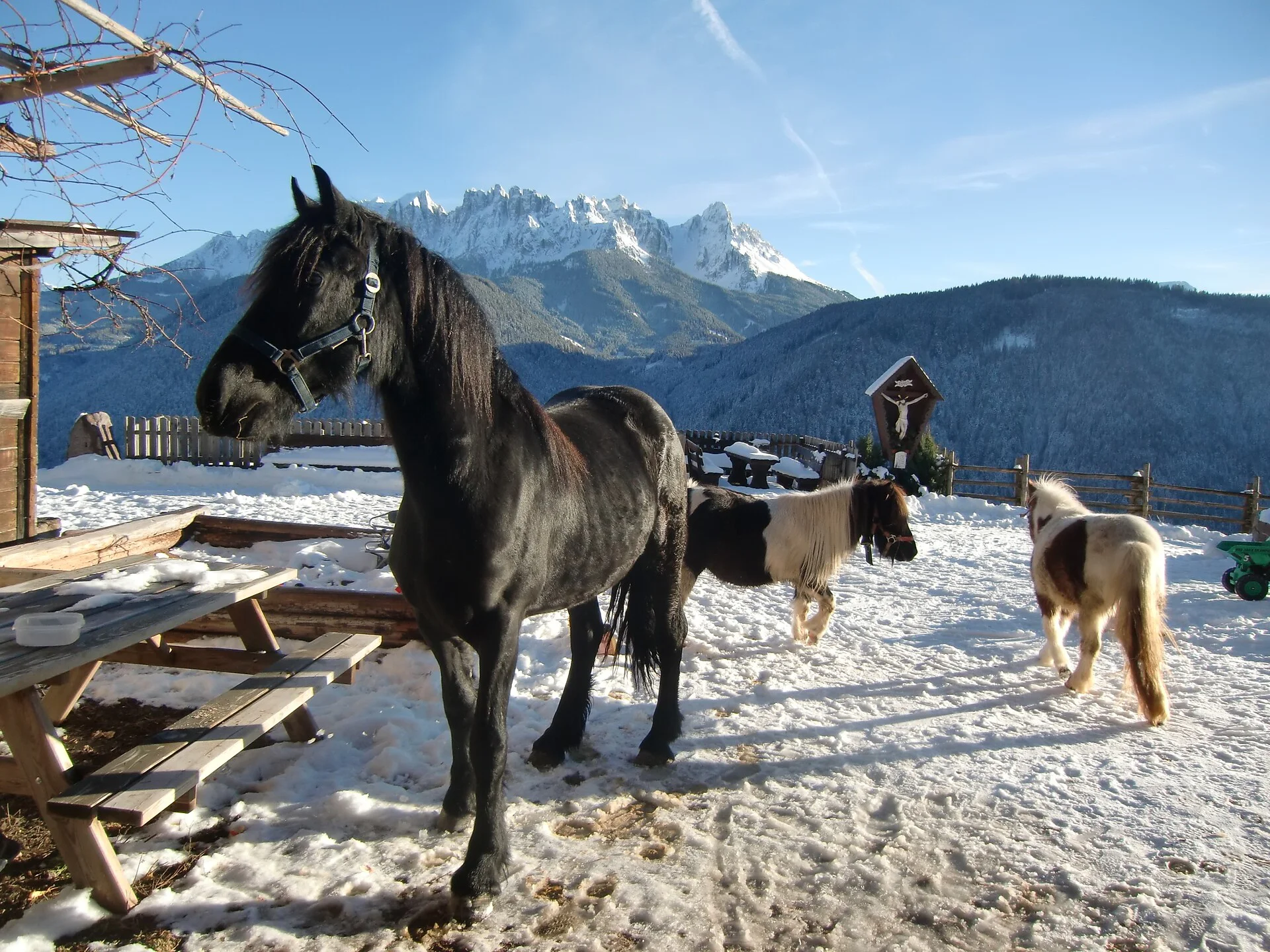 Maso Innerfohrer Nova Levante 10 suedtirol.info