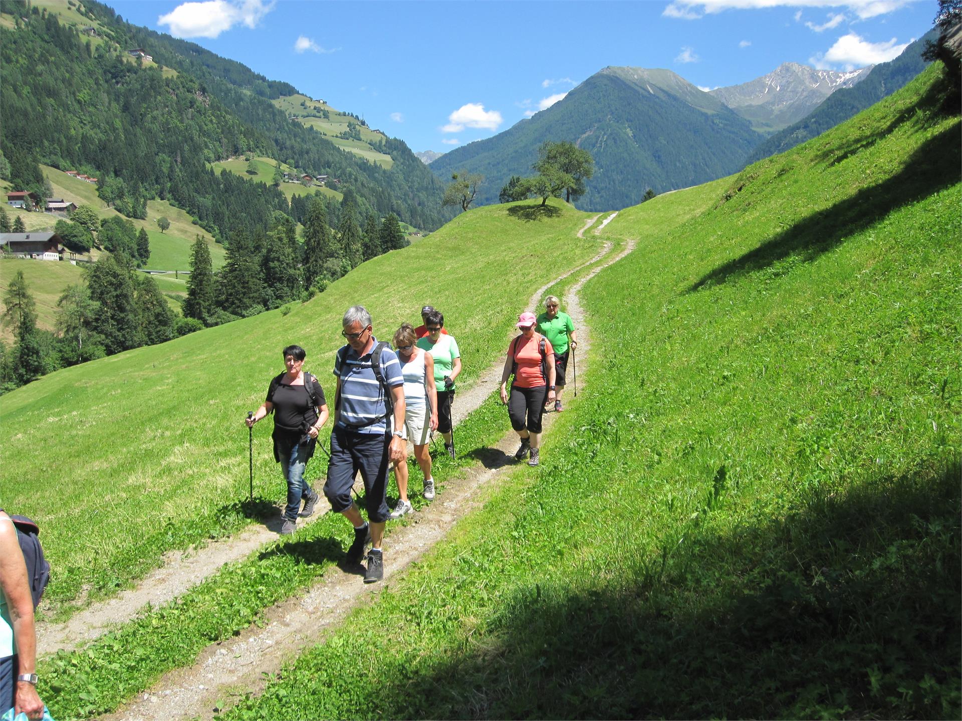 Inklusivhotel Taushof Schenna/Scena 17 suedtirol.info